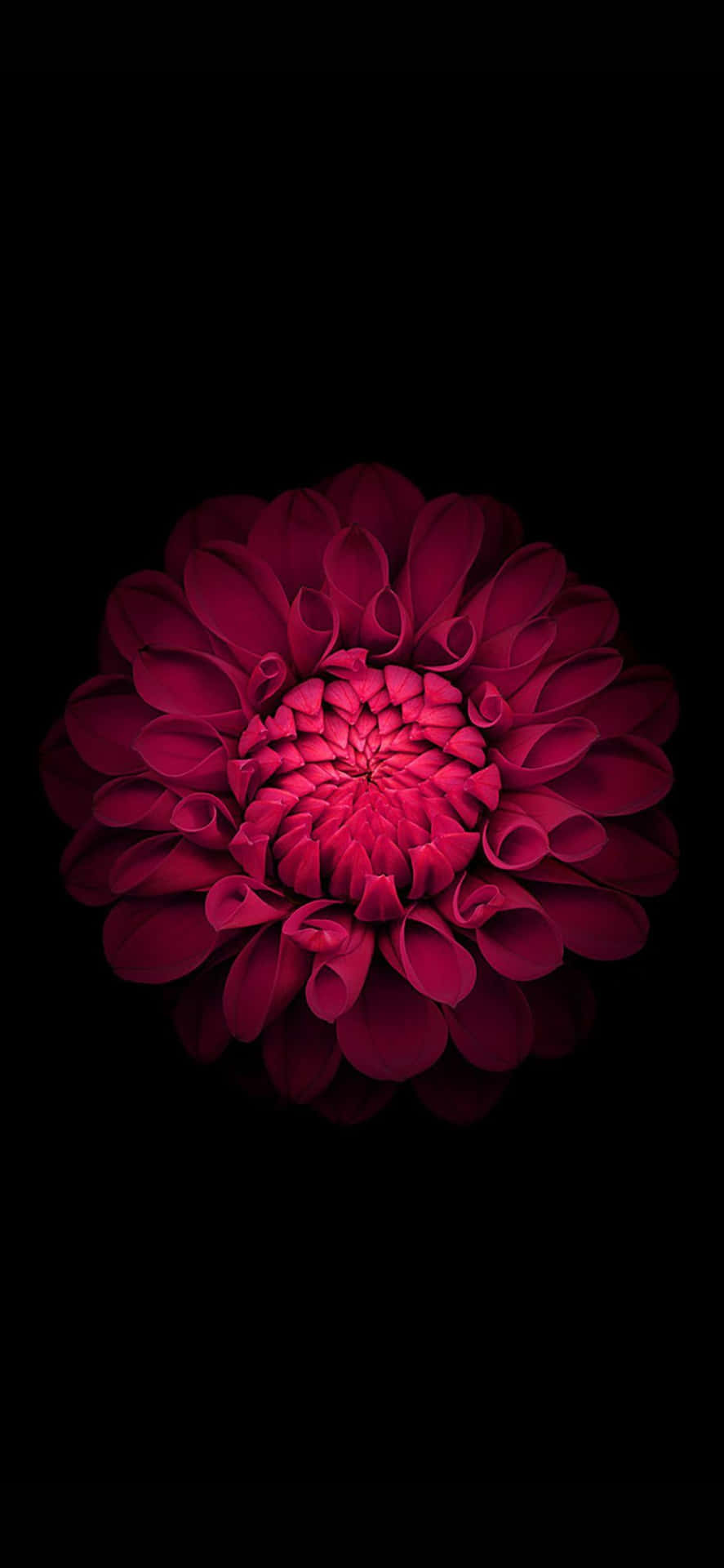 Fondo de iPhone 13