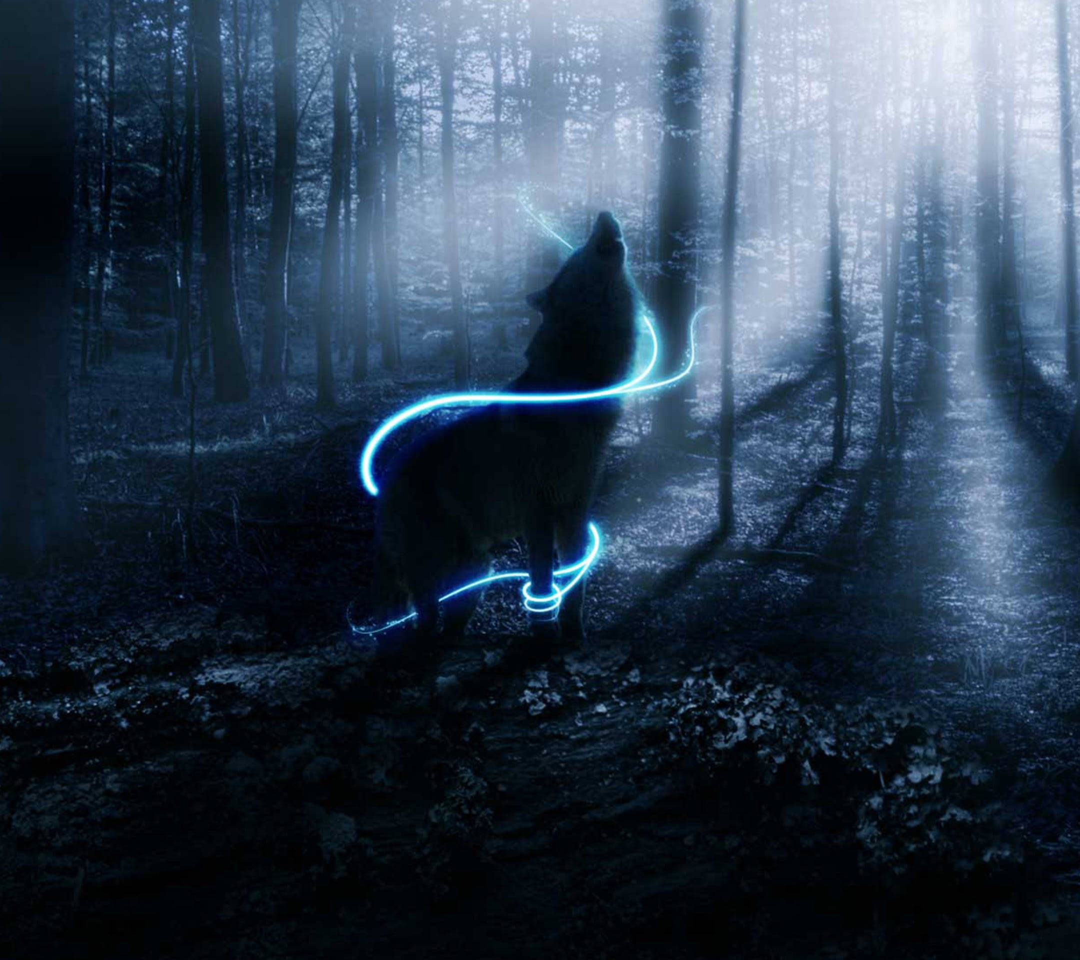 Lobo Anime Azul Neón en Bosque Etéreo Fondos de pantalla