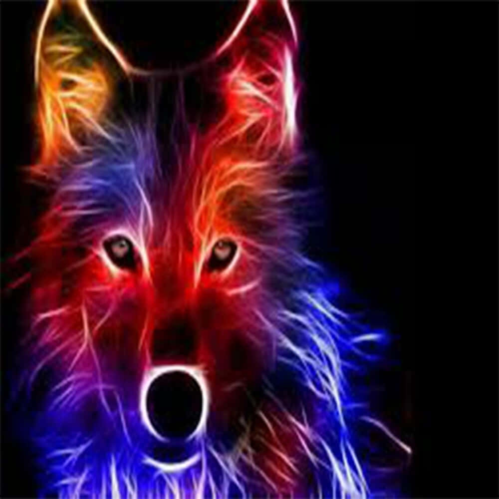 Lobo Arcoíris Mirando de Frente Fondos de pantalla