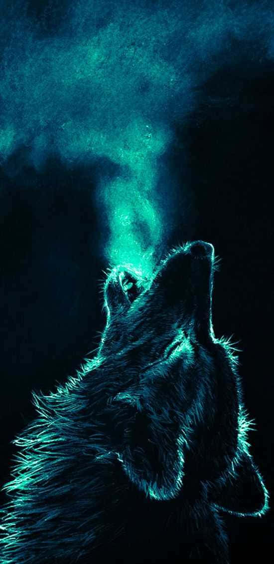 Lobo azul genial soplando humo Fondos de pantalla