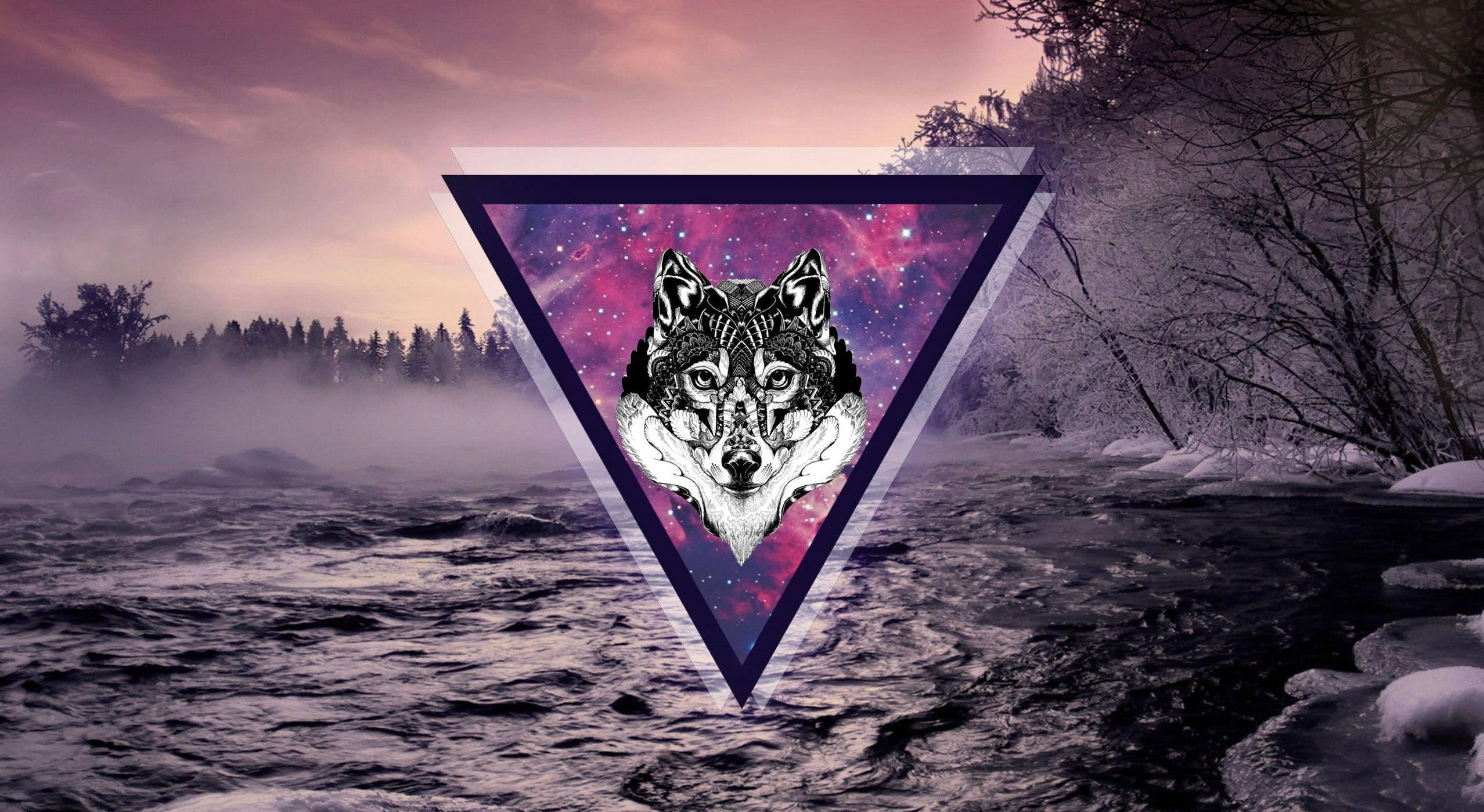 Lobo de Galaxia Púrpura Fondos de pantalla