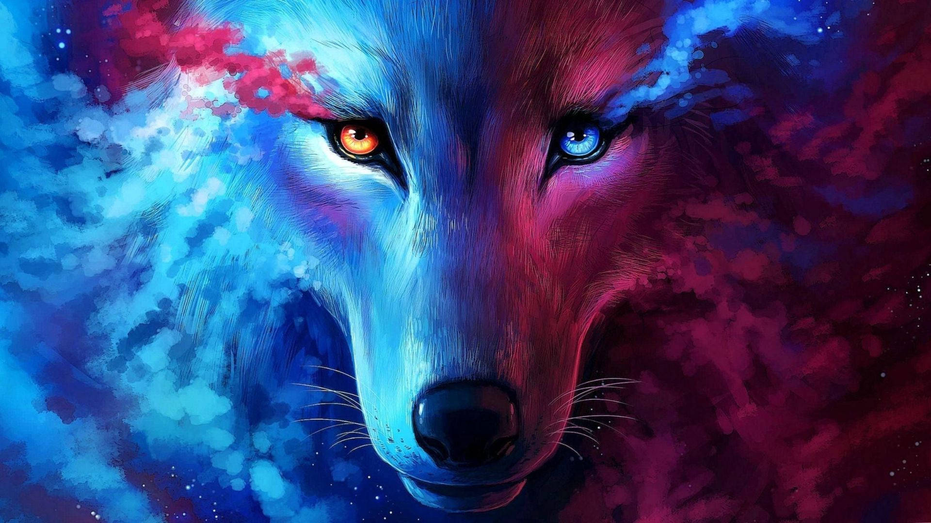 Lobo en Galaxia Linda Fondos de pantalla