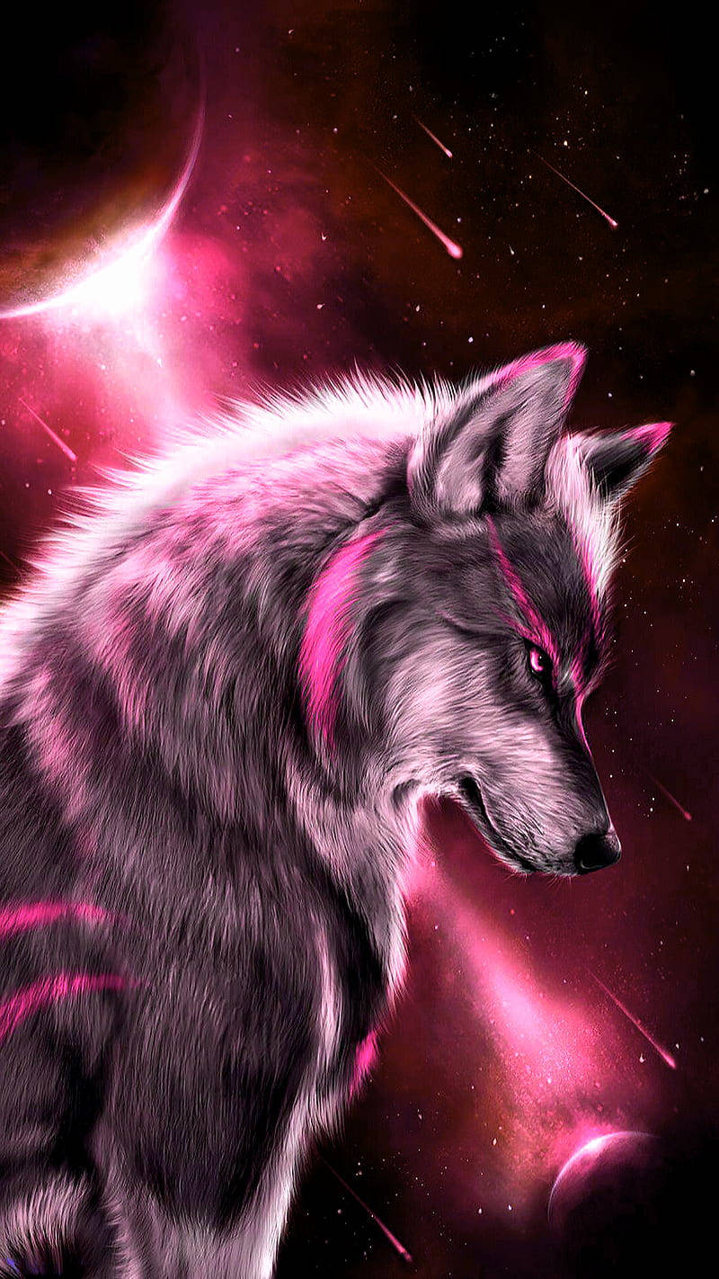 Lobo Feroz Galaxia Rosa Intenso Fondos de pantalla