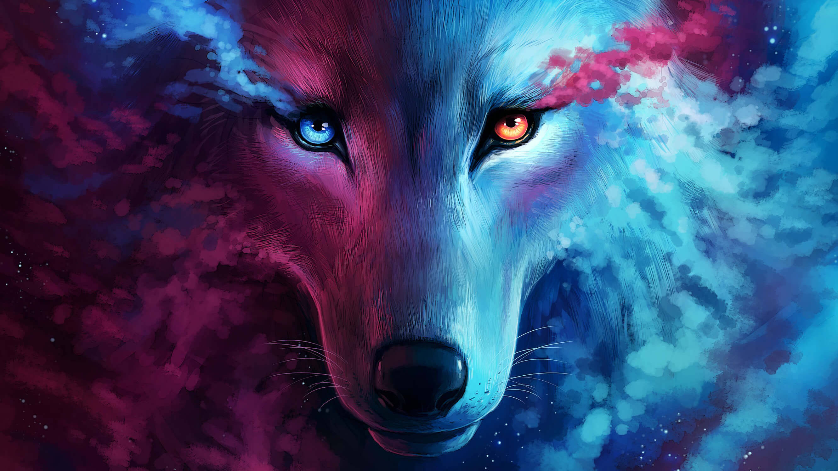 Lobo galaxia púrpura y azul Fondos de pantalla