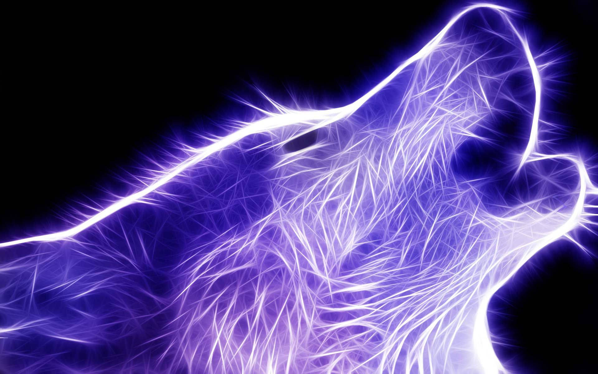 Lobo Galaxia Púrpura Neón Fondos de pantalla