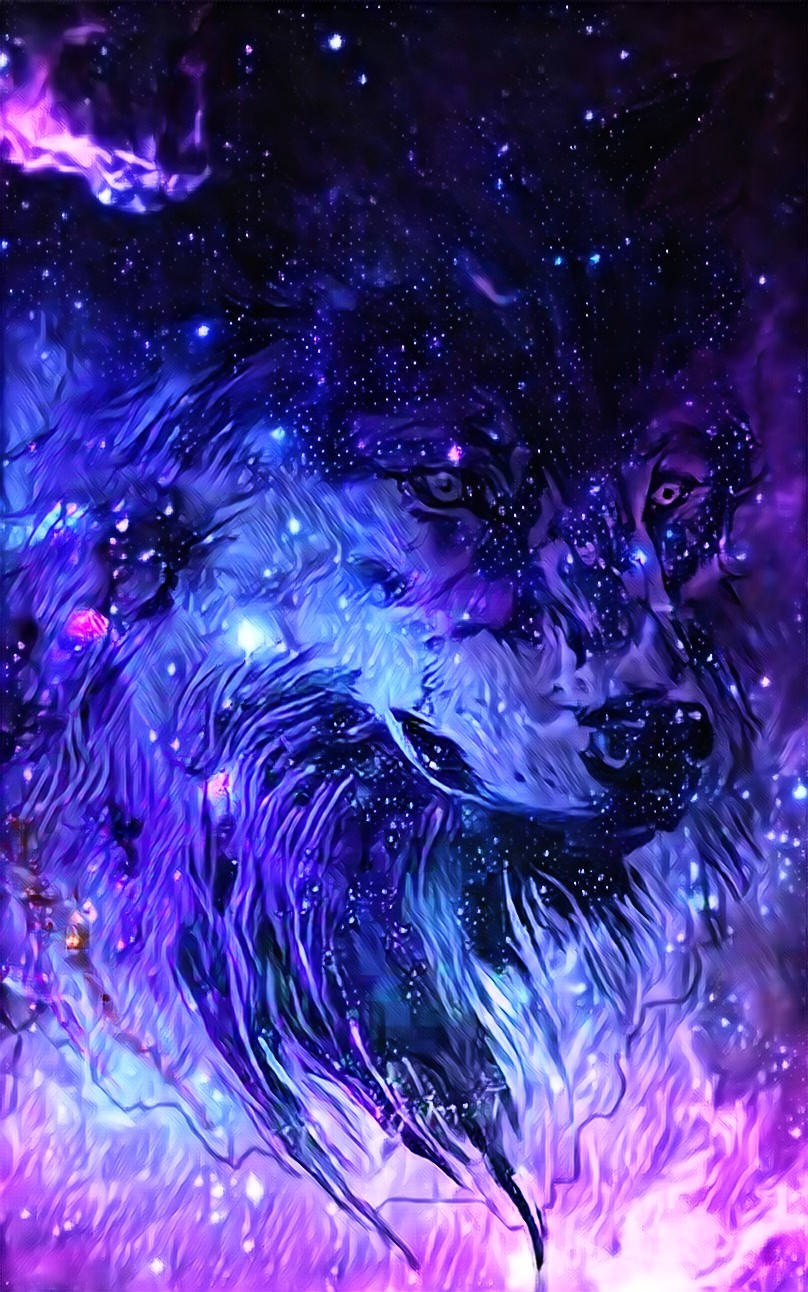 Lobo Galaxia Púrpura Pintura Digital Fondos de pantalla