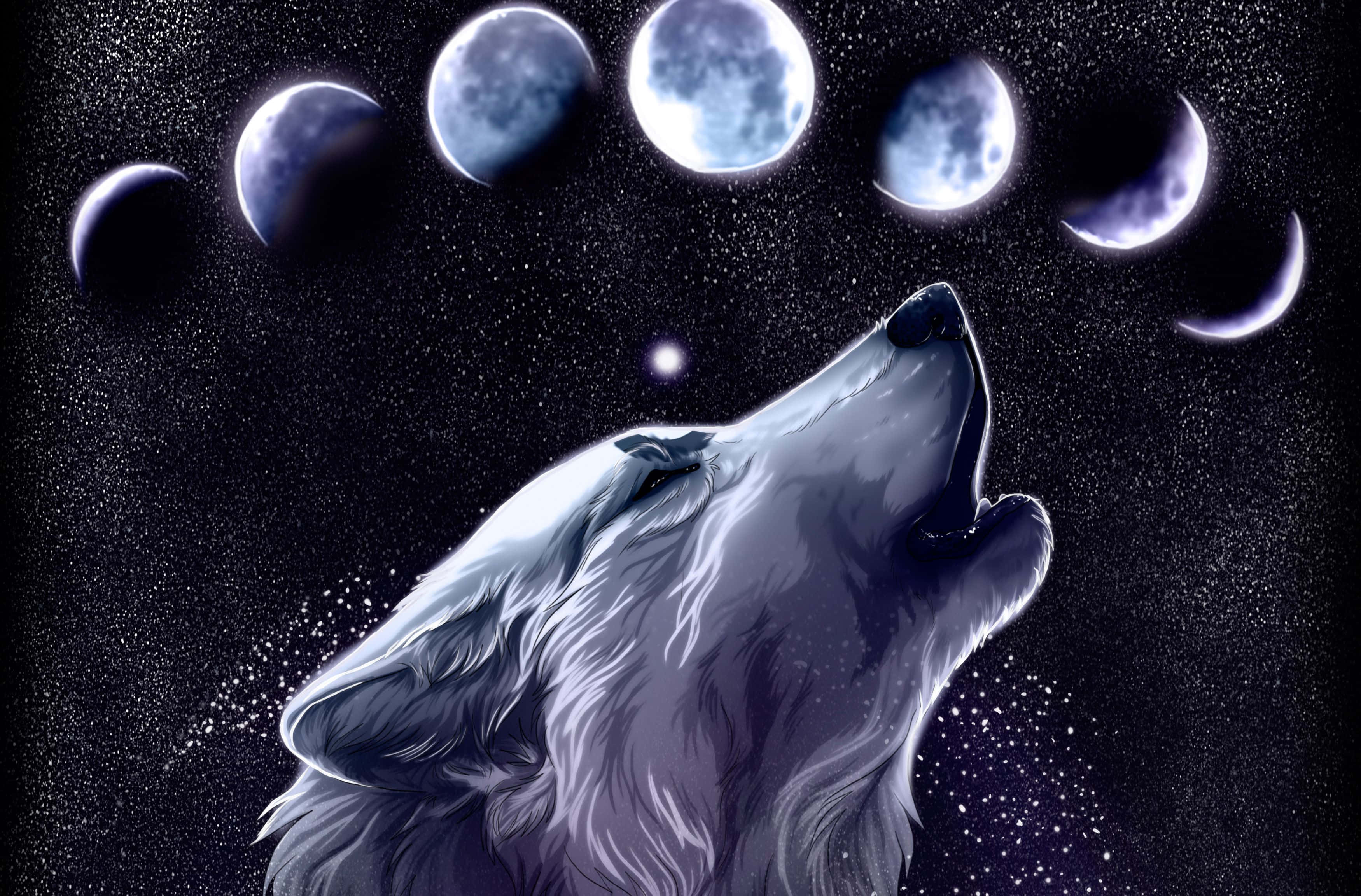Lobo Galaxia Vibrante Sobre Fondo Oscuro Fondos de pantalla