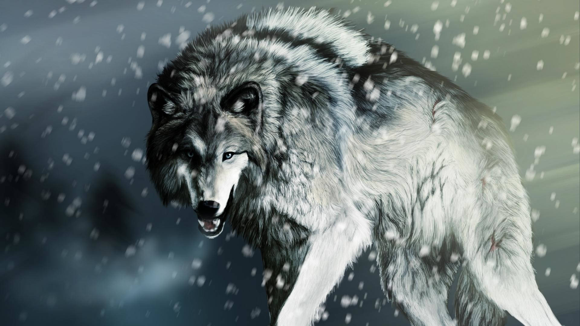 Lobo Genial en la Nieve Fondos de pantalla