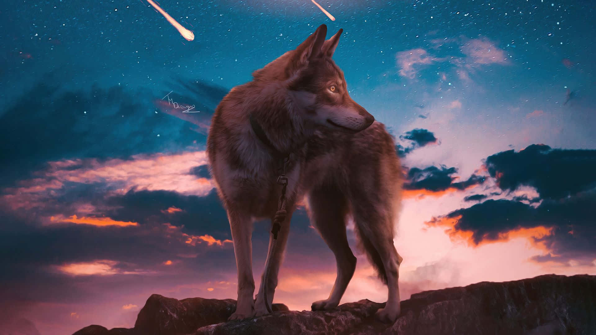 Lobo Genial Estético con Estrellas Fugaces Fondos de pantalla