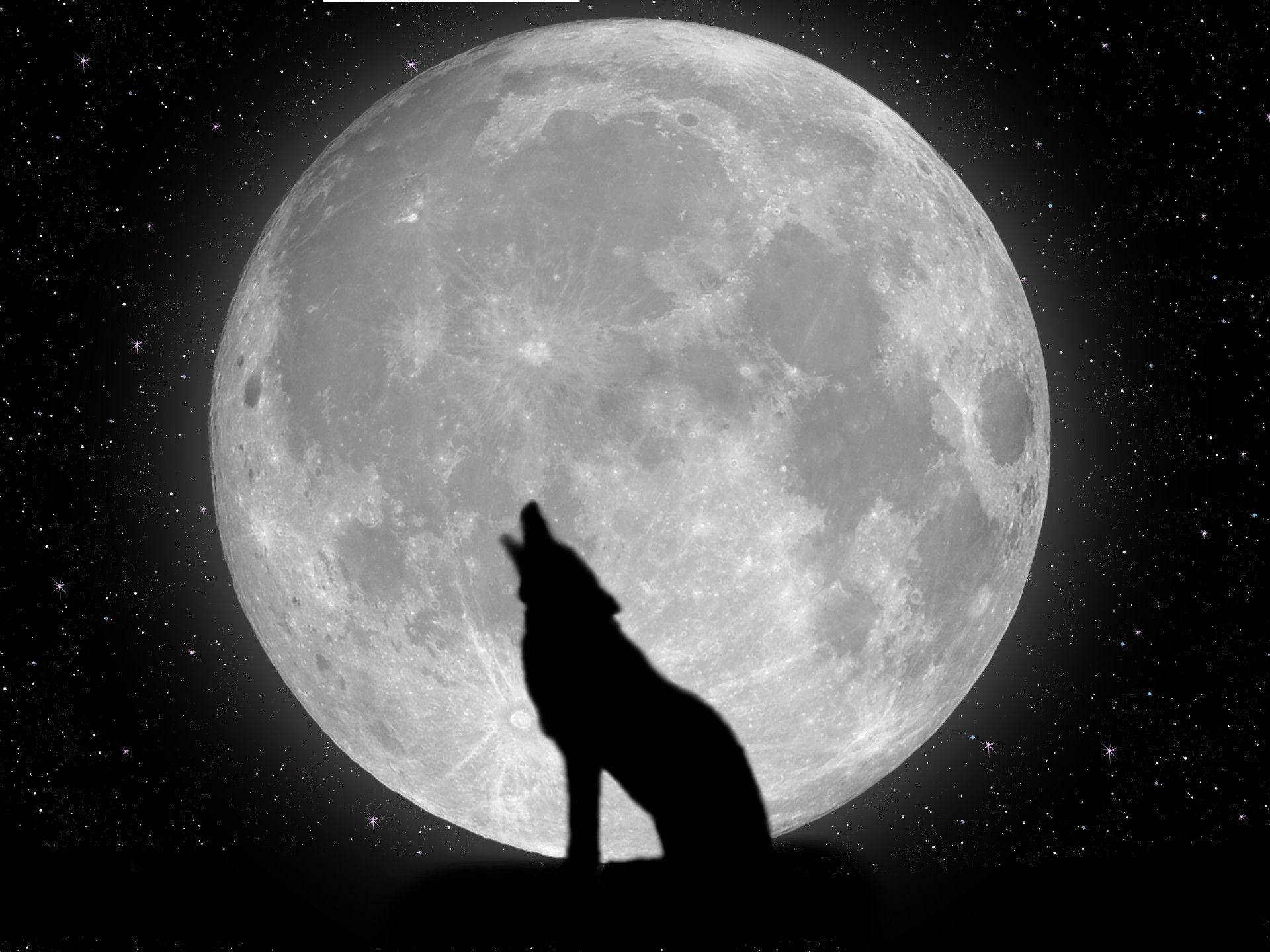 Lobo Genial y Luna Fondos de pantalla