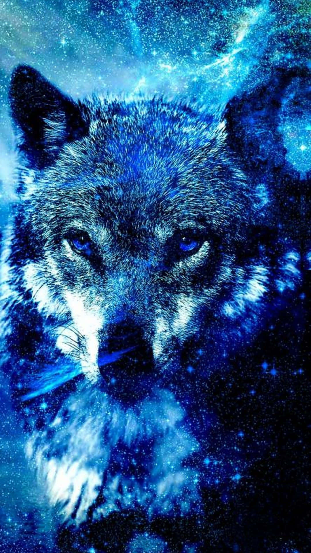 "Lobo Misterioso y Majestuoso" Fondos de pantalla