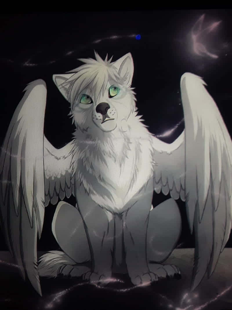 Lobo súper genial con alas Fondos de pantalla