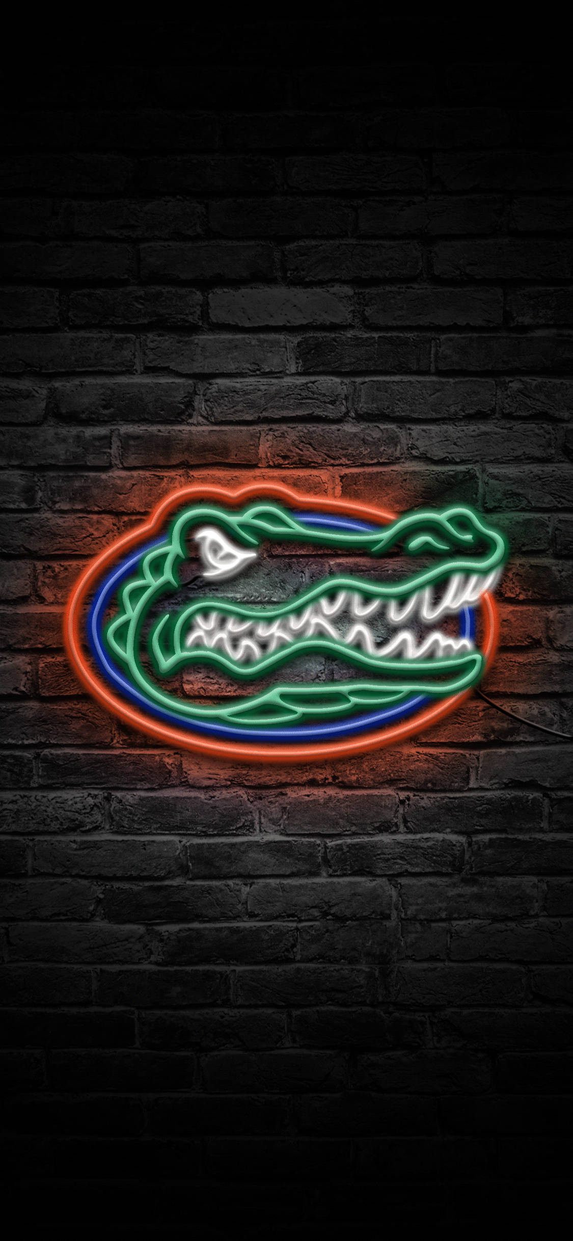 Logotipo de los Florida Gators en Luces de Neón Fondos de pantalla