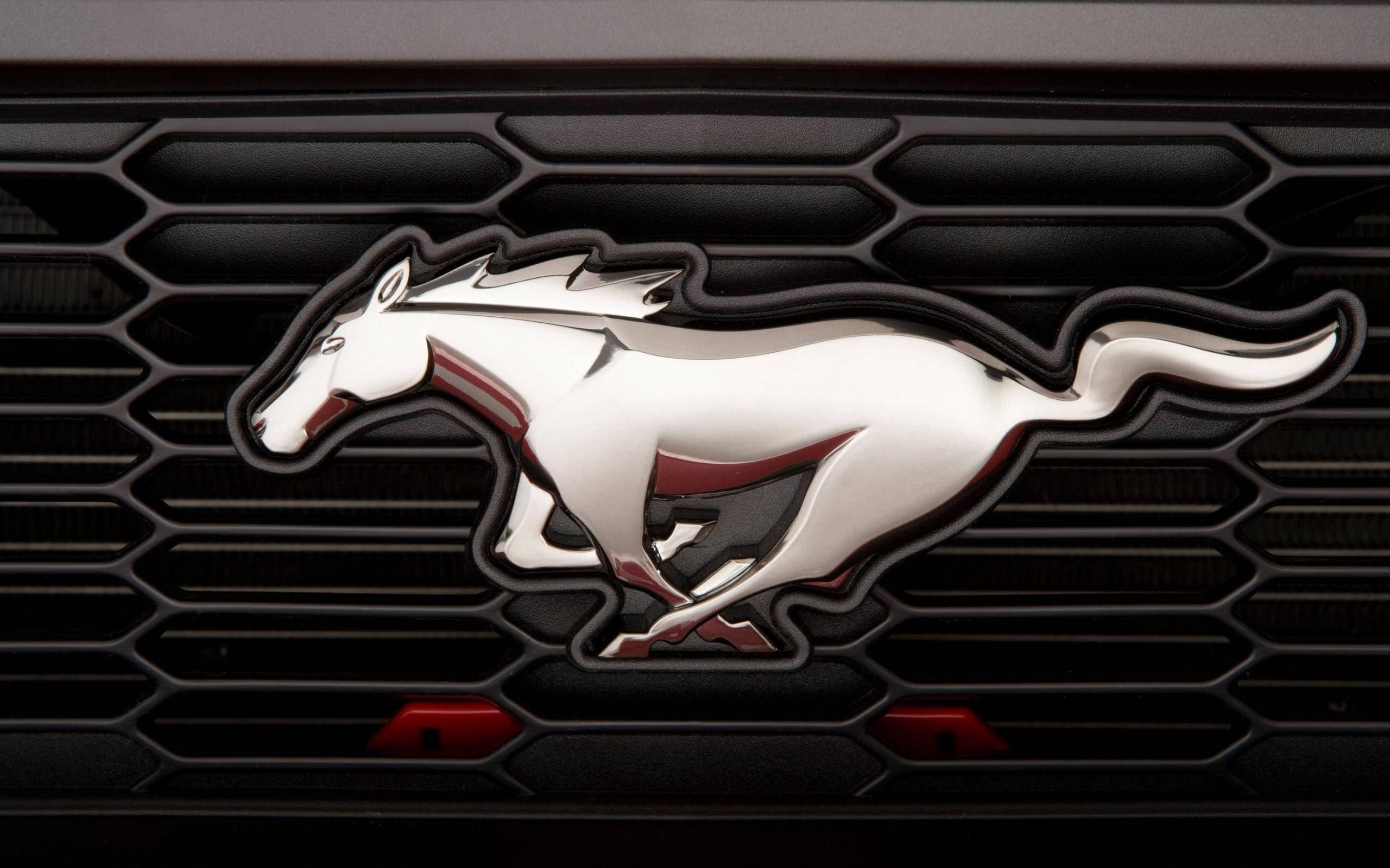 Logotipo HD de Ford Mustang – Elegancia y Potencia Fondos de pantalla