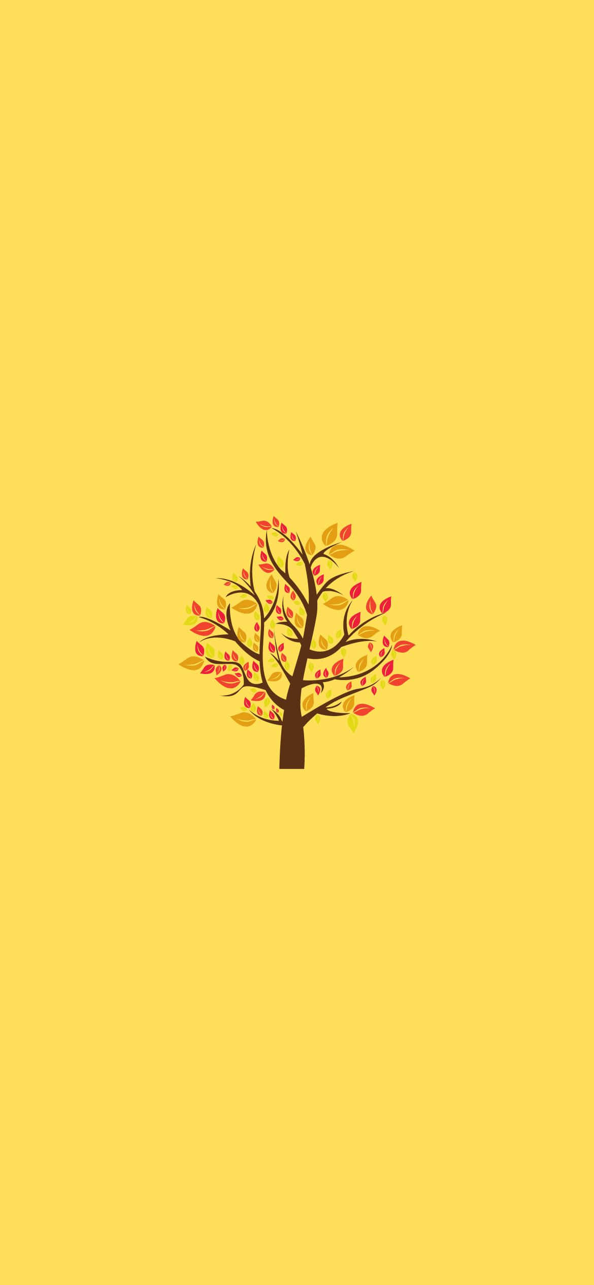 Los colores del otoño cobran vida Fondos de pantalla