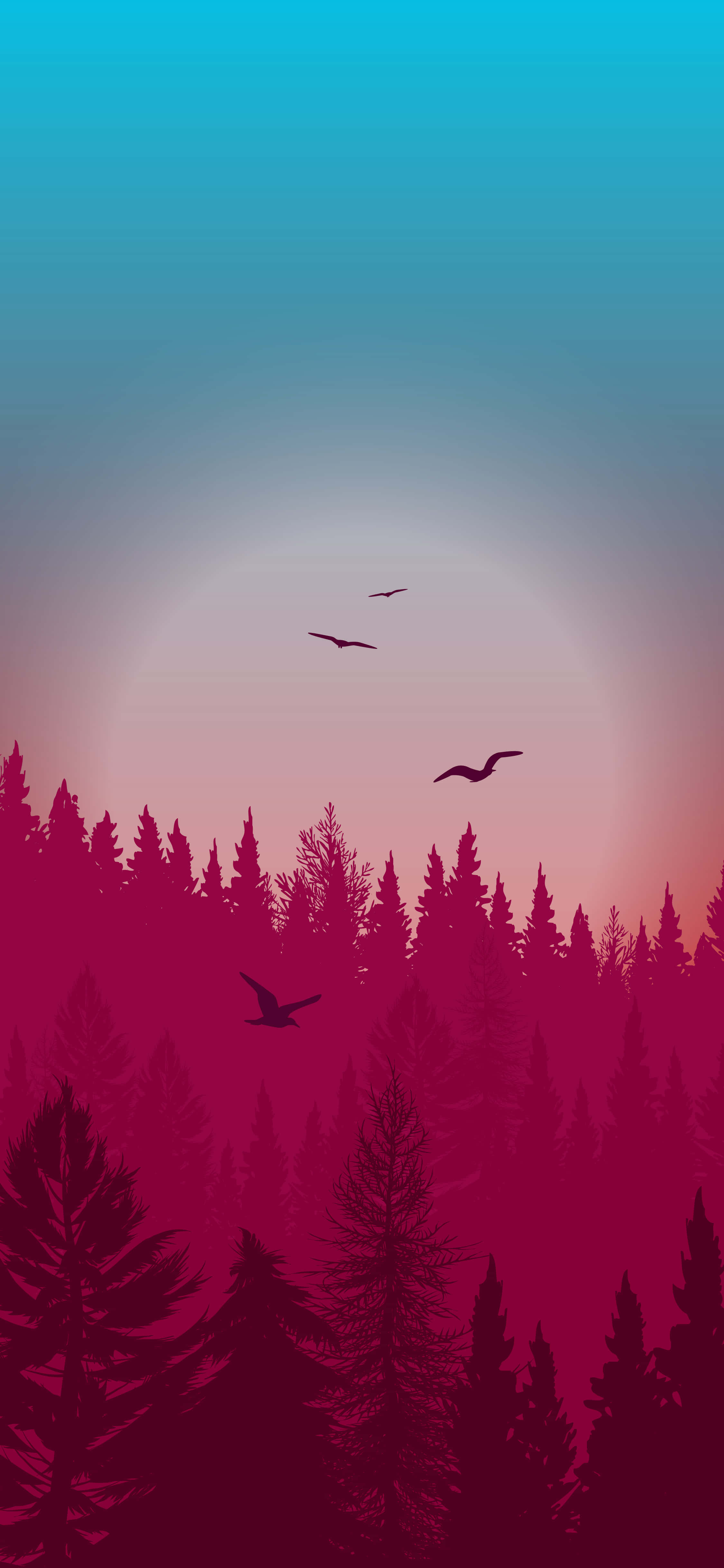 Los secretos místicos del bosque nocturno Fondos de pantalla
