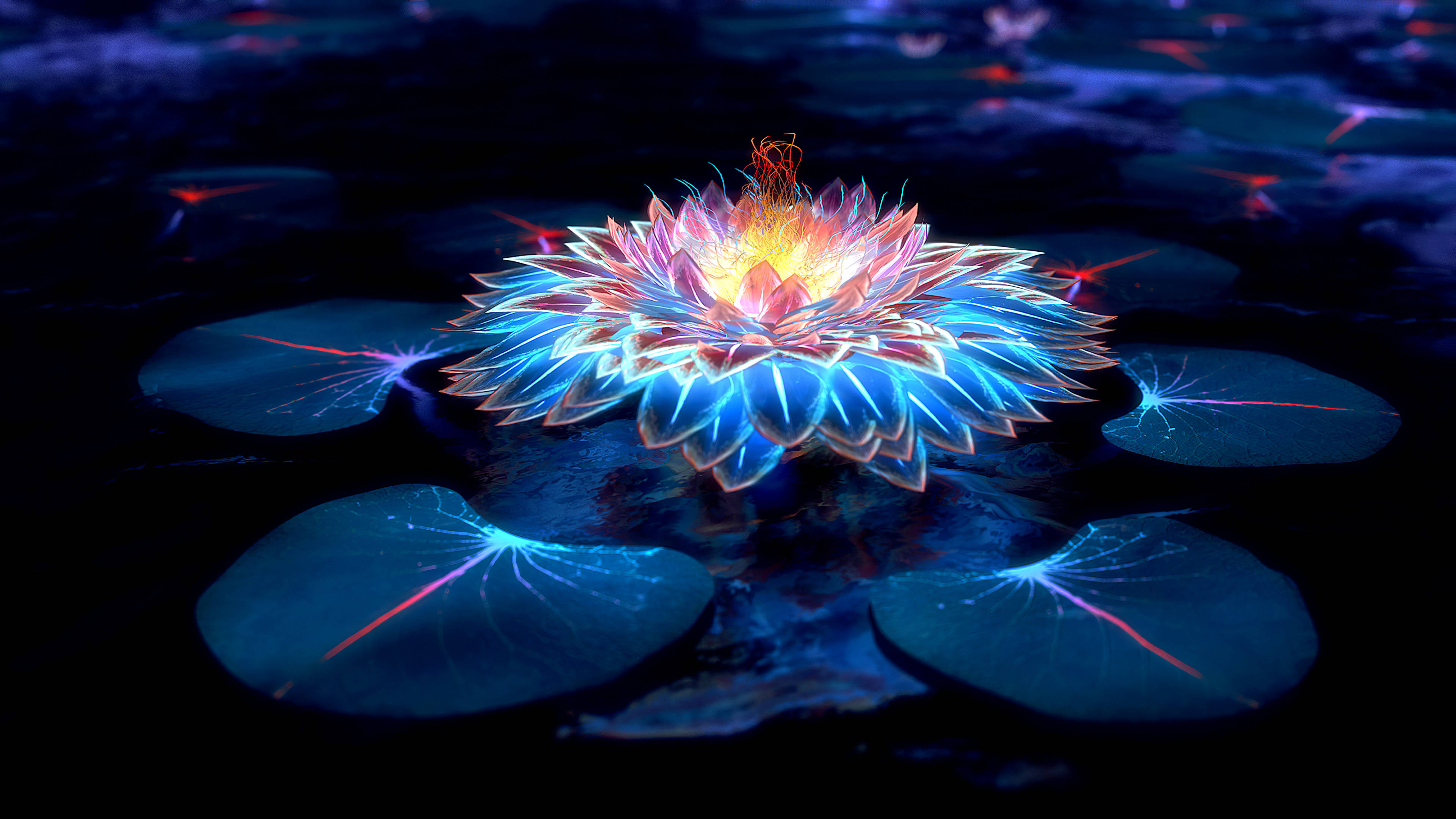 Loto y luces en la oscuridad Fondos de pantalla