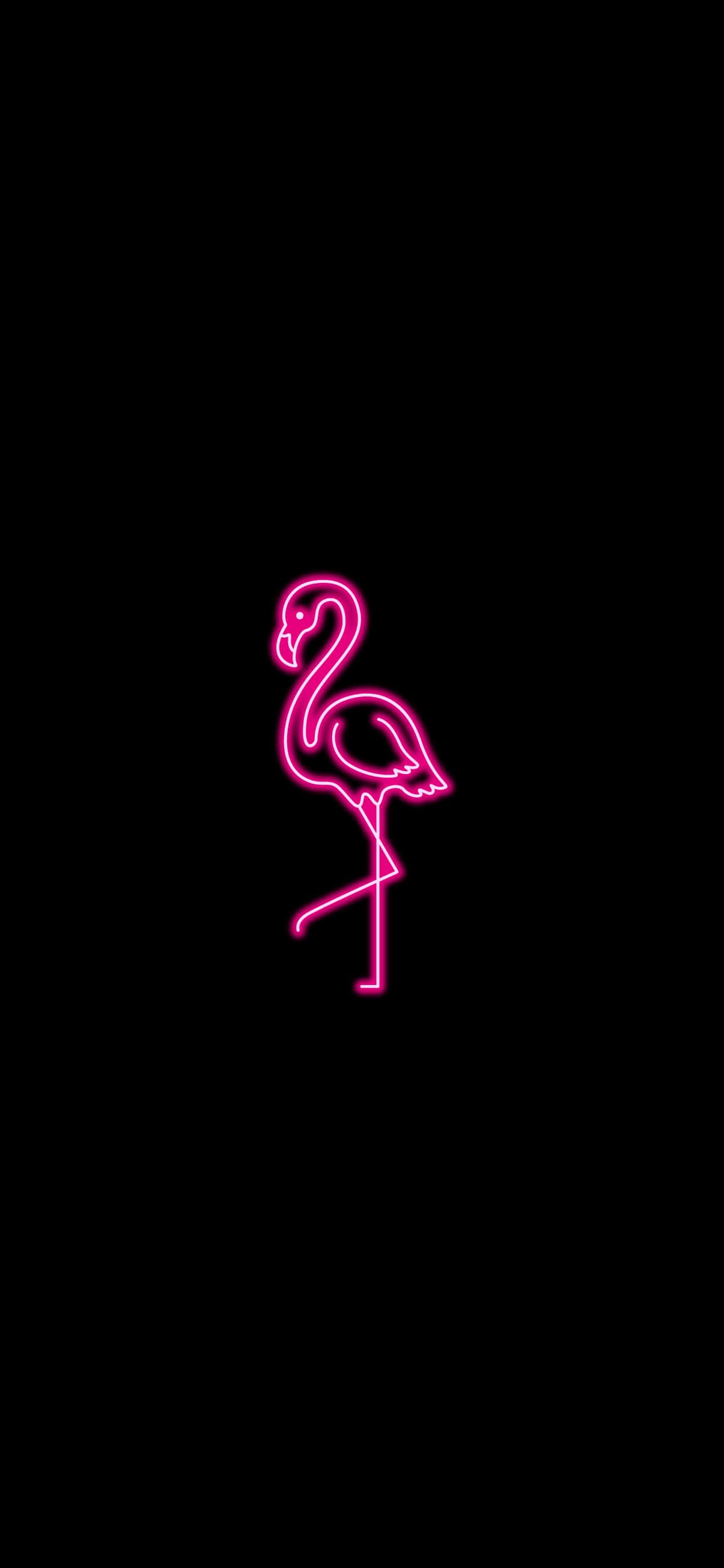 ¡Luce espectacular en rosa neón! Fondos de pantalla