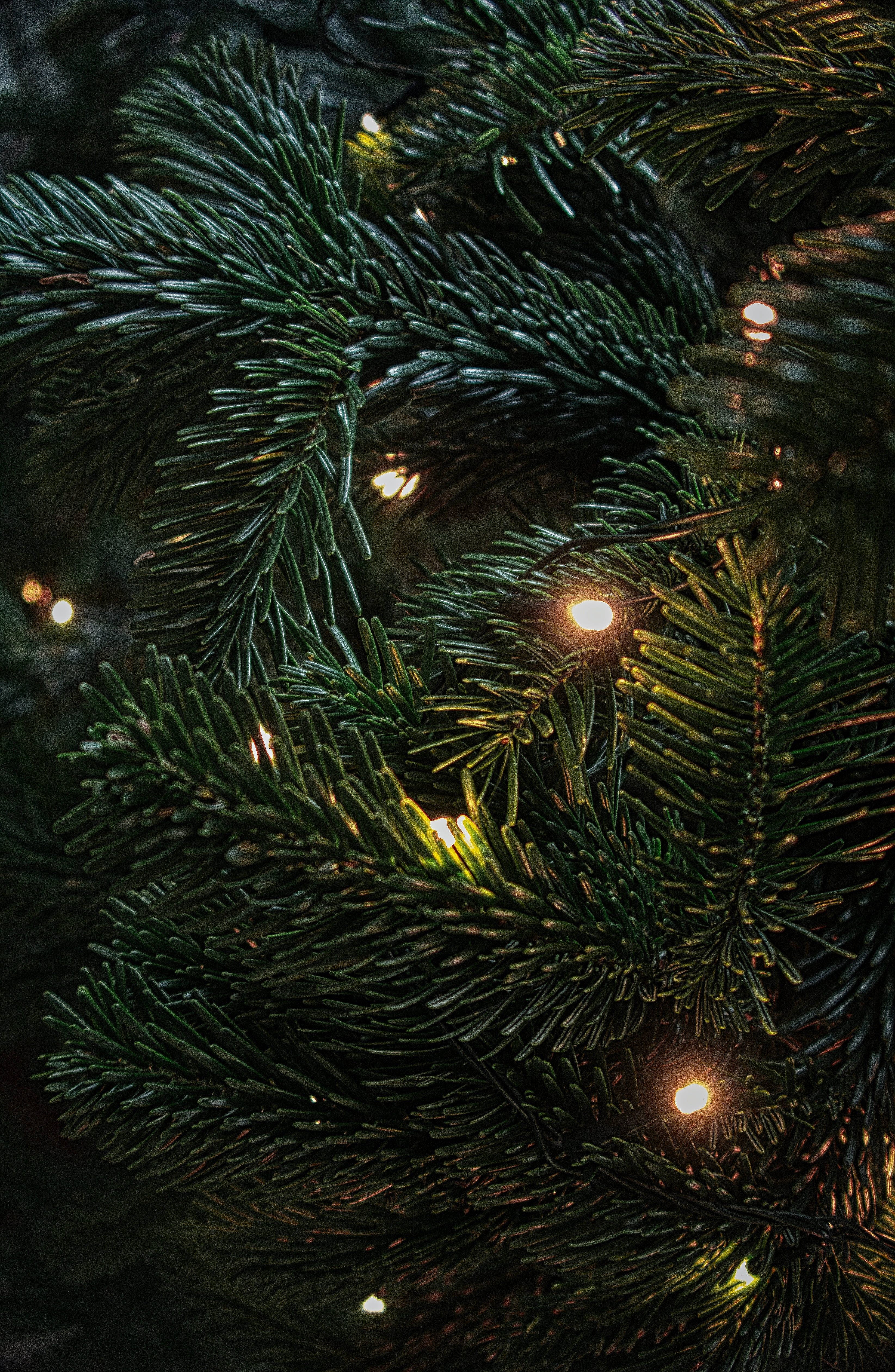 Luces Navideñas de Alta Resolución Fondos de pantalla