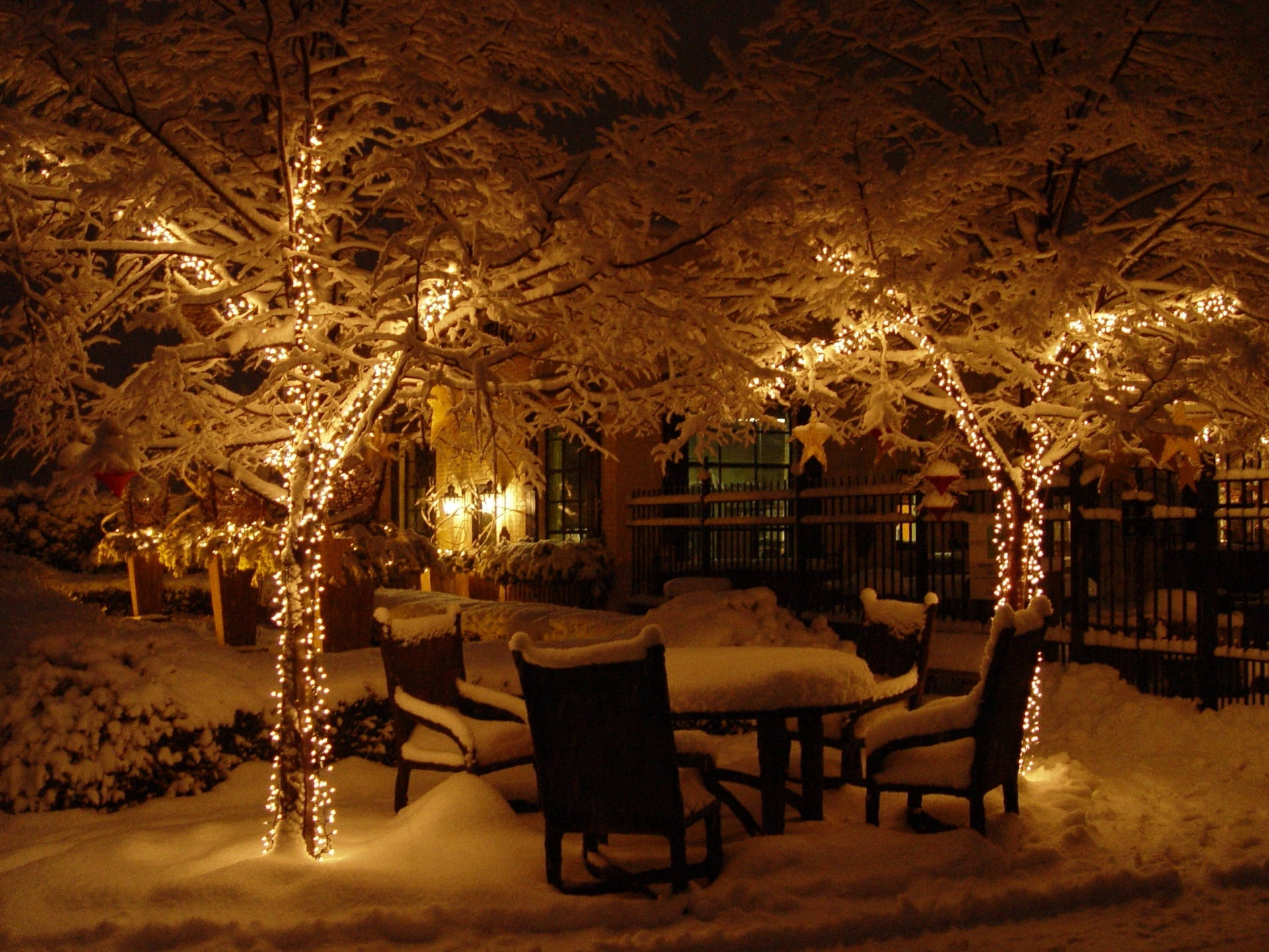 Luces navideñas frías en el patio trasero Fondos de pantalla