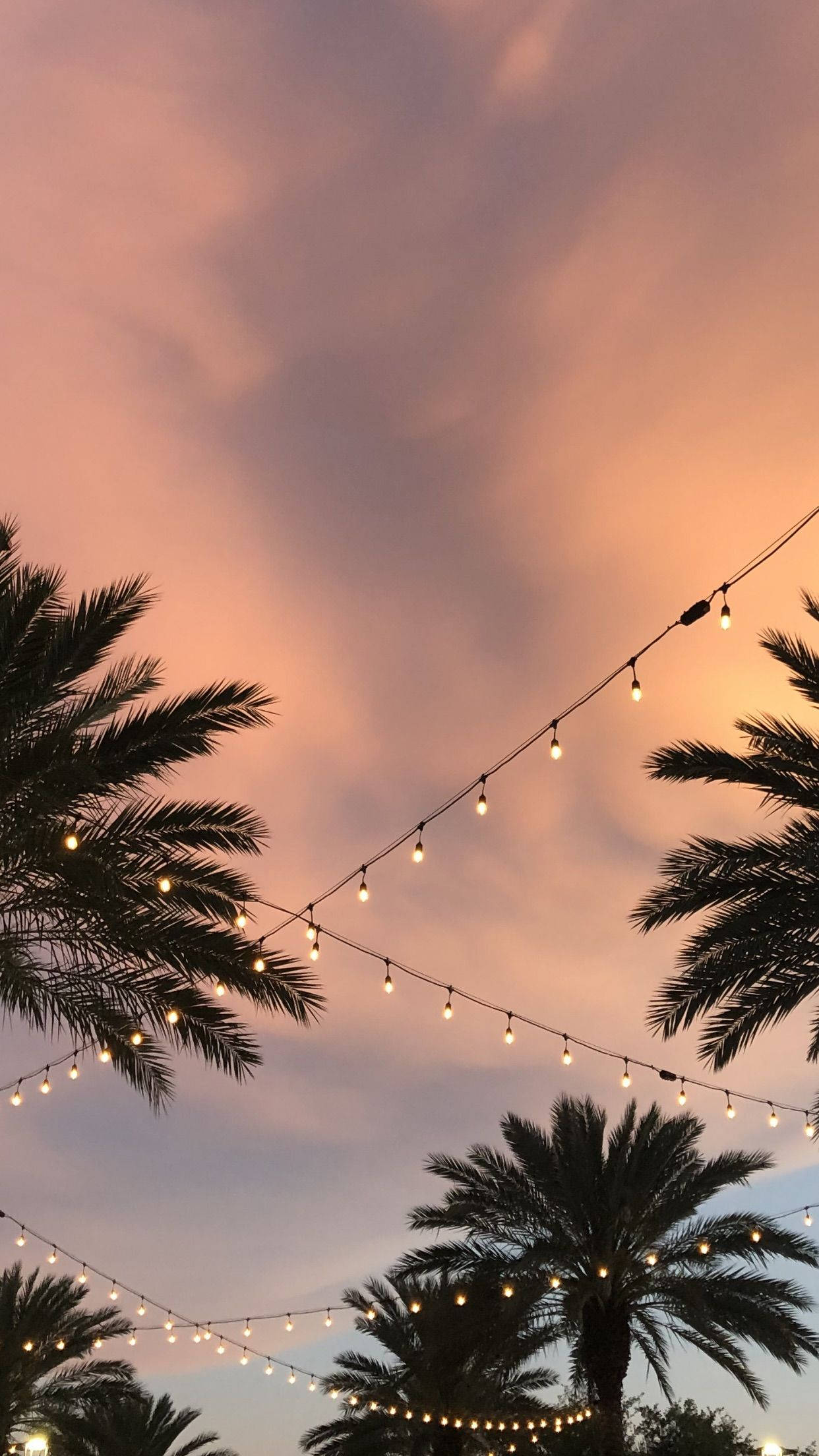 Luces y Árboles Lindos para iPhone Fondos de pantalla