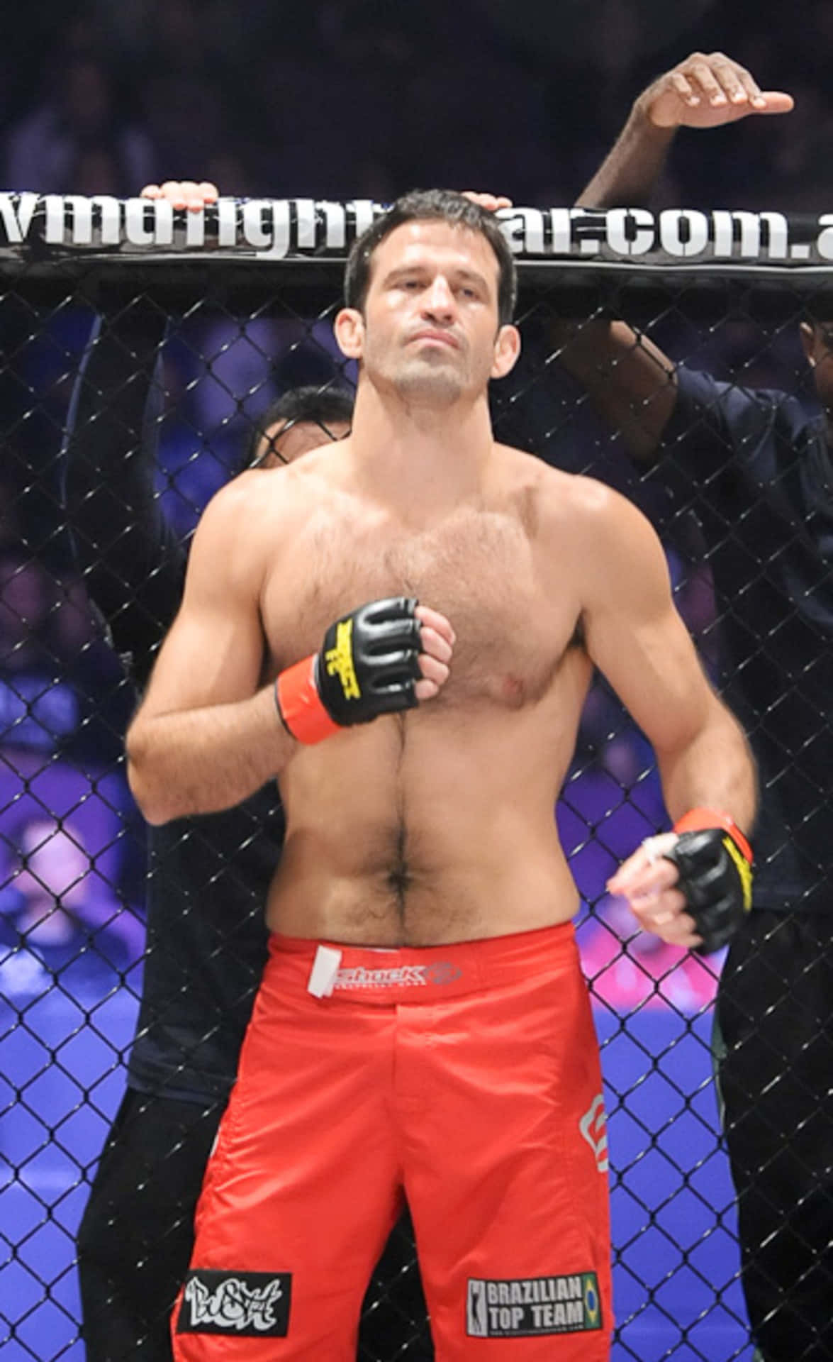 Peleador profesional de MMA brasileño Murilo Bustamante Fondos de pantalla