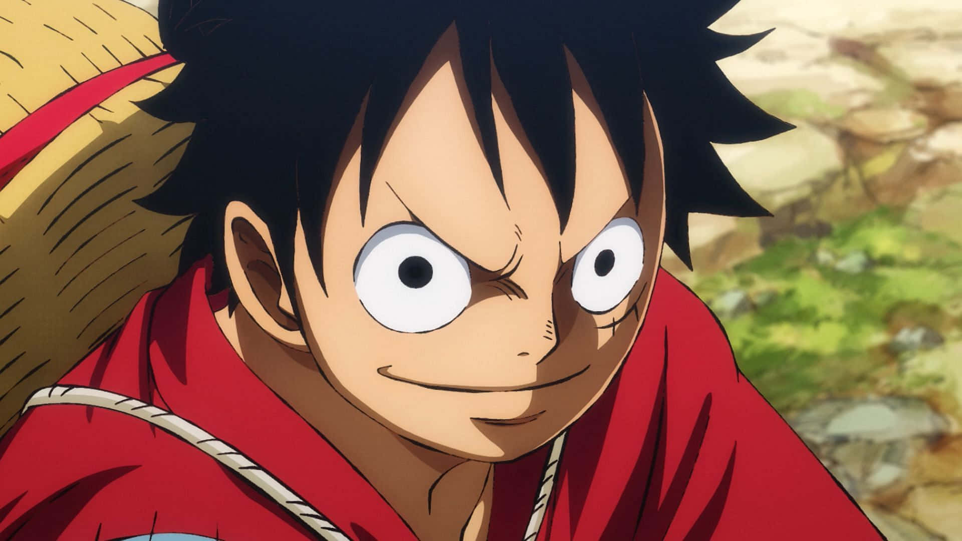 ¡Luffy, el Rey de los Piratas! Fondos de pantalla