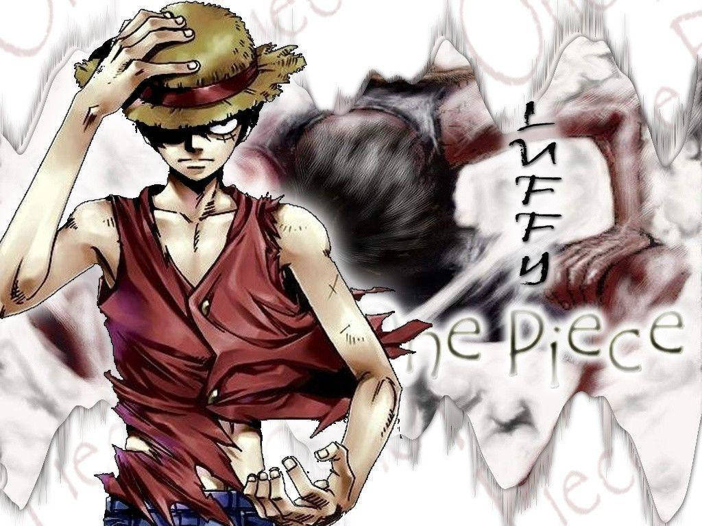 Luffy One Piece Pirate