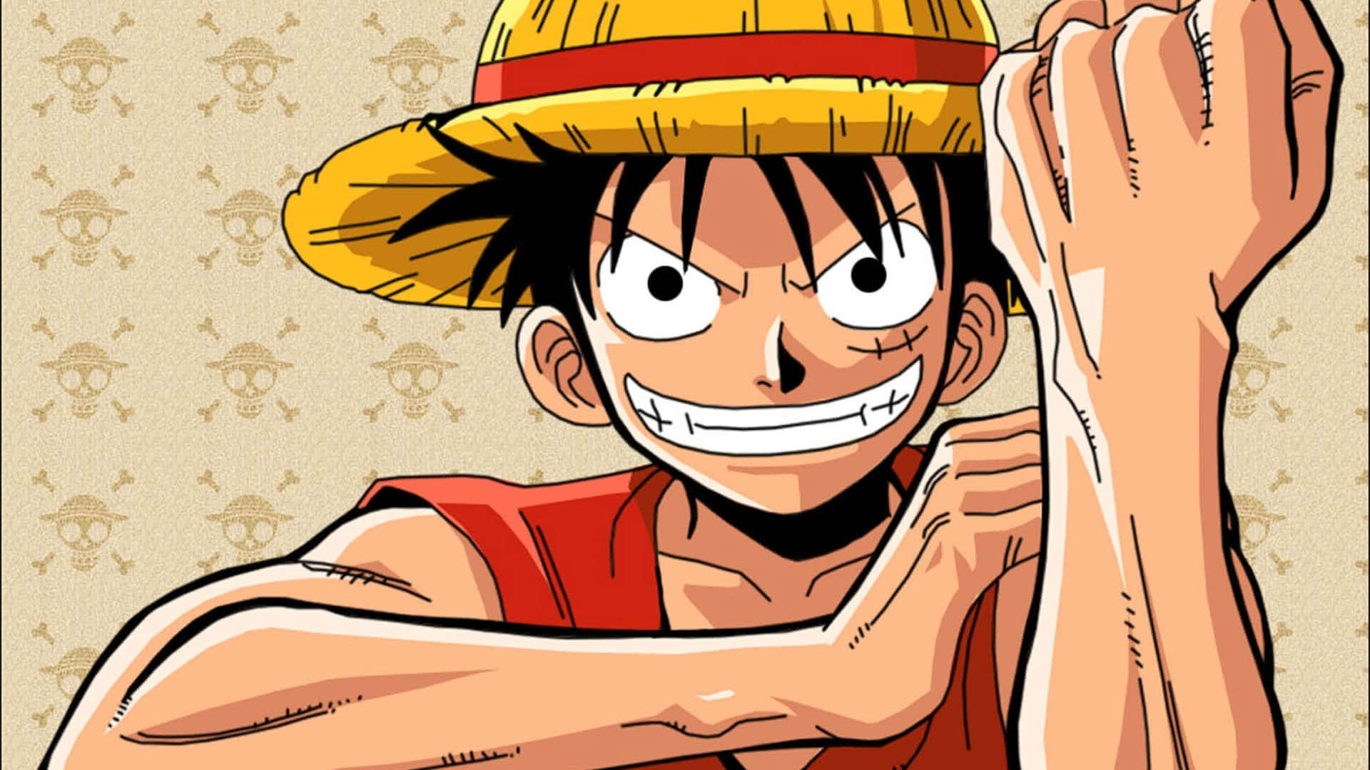 Luffy se convierte en el Rey de los Piratas Fondos de pantalla