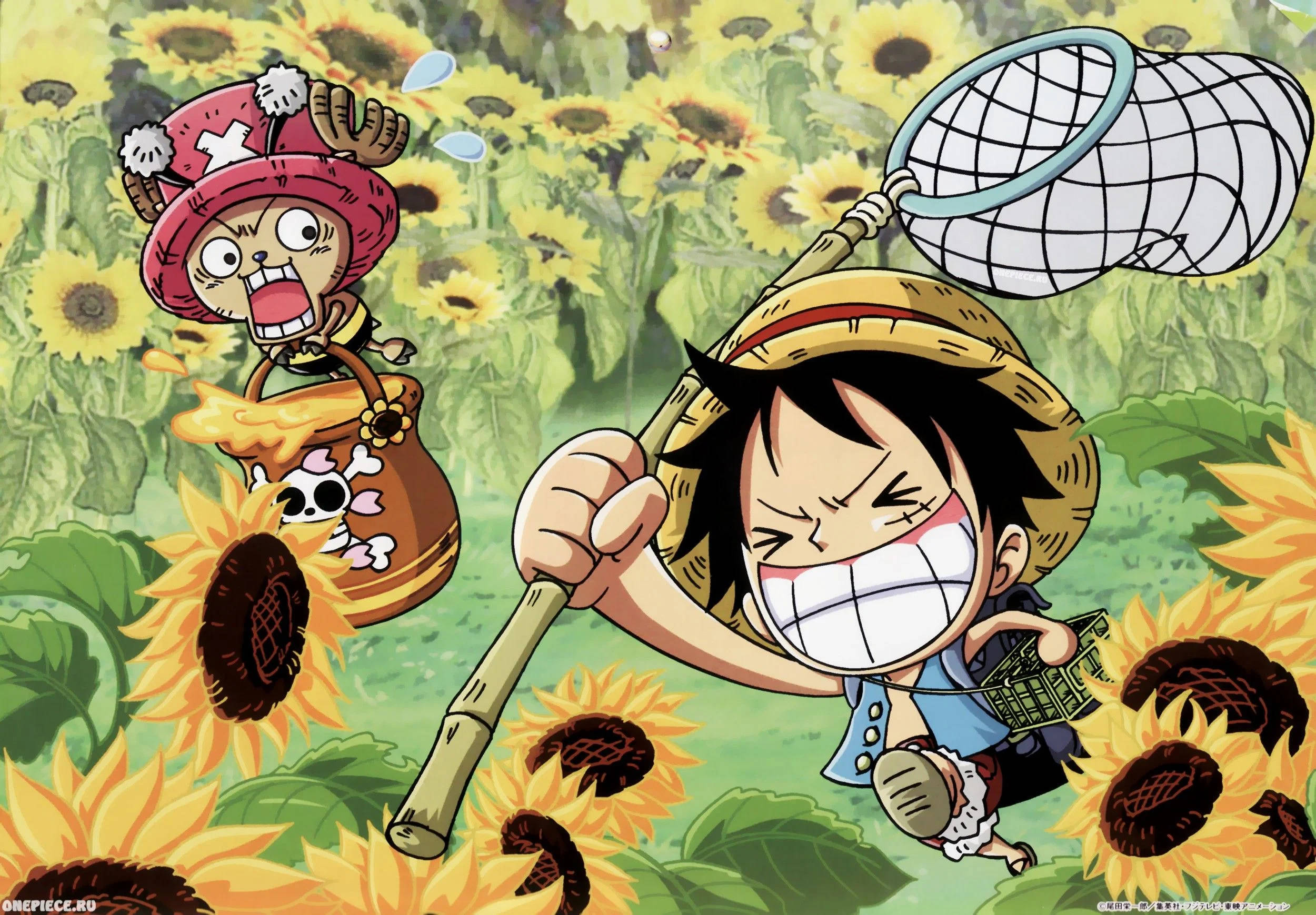 Luffy y Chopper Anime Divertido Fondos de pantalla