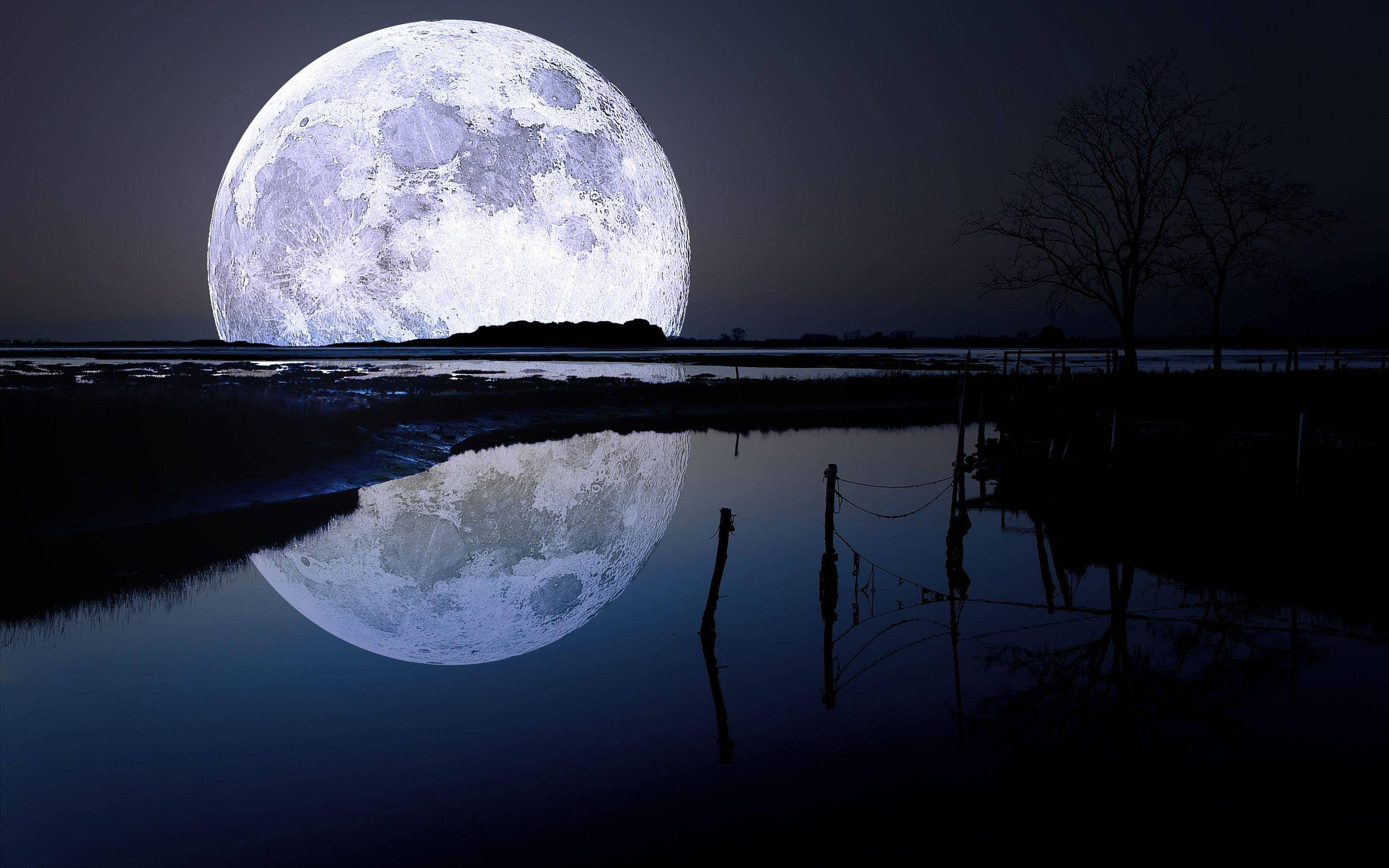 Luna 4K Luna Llena Sobre el Lago Fondos de pantalla