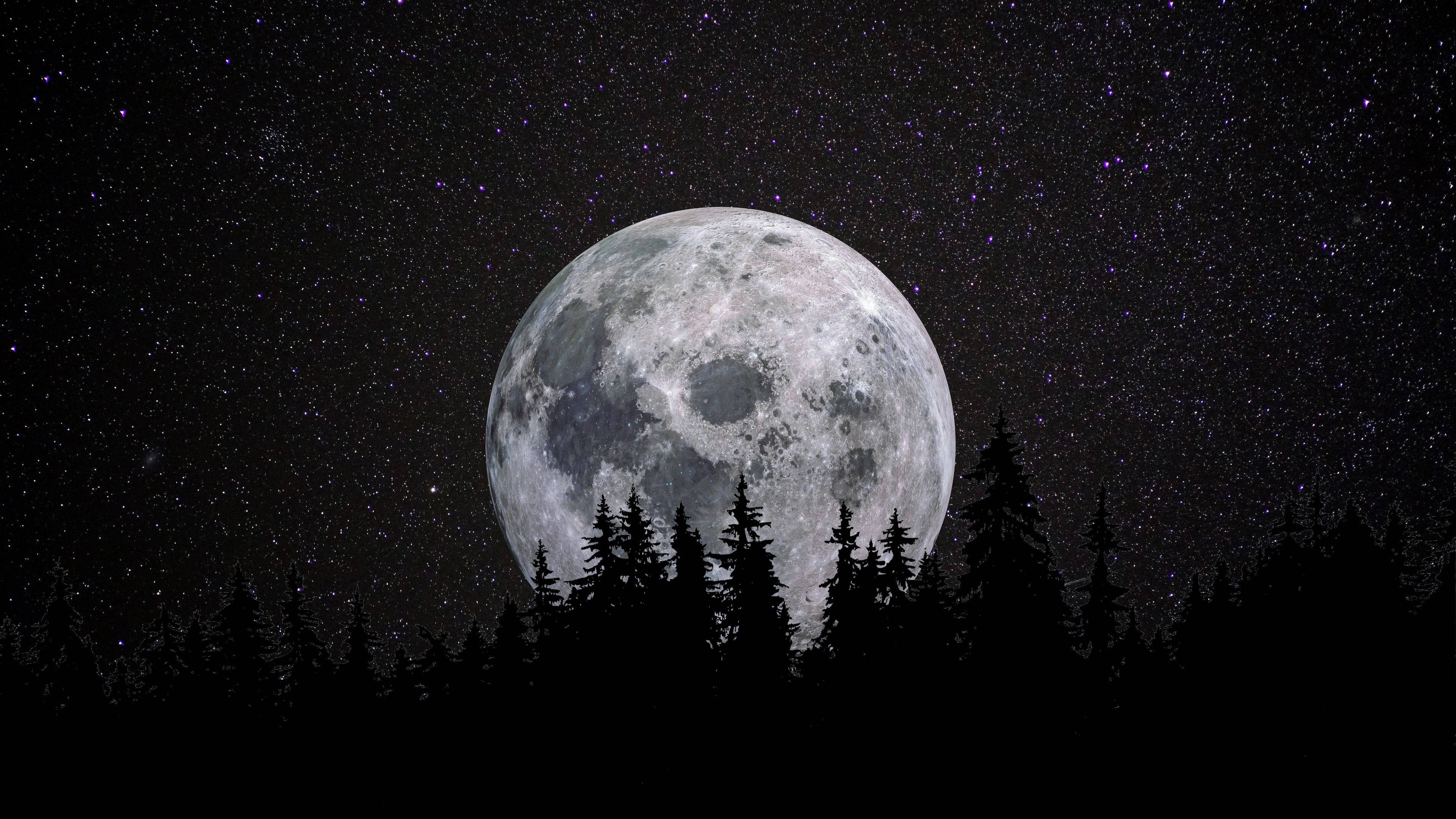 Luna 4K Luna Llena Sobre el Bosque Fondos de pantalla