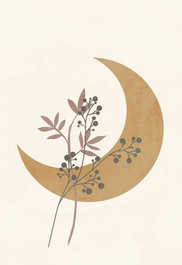Luna Creciente Marrón Estética Boho Fondos de pantalla