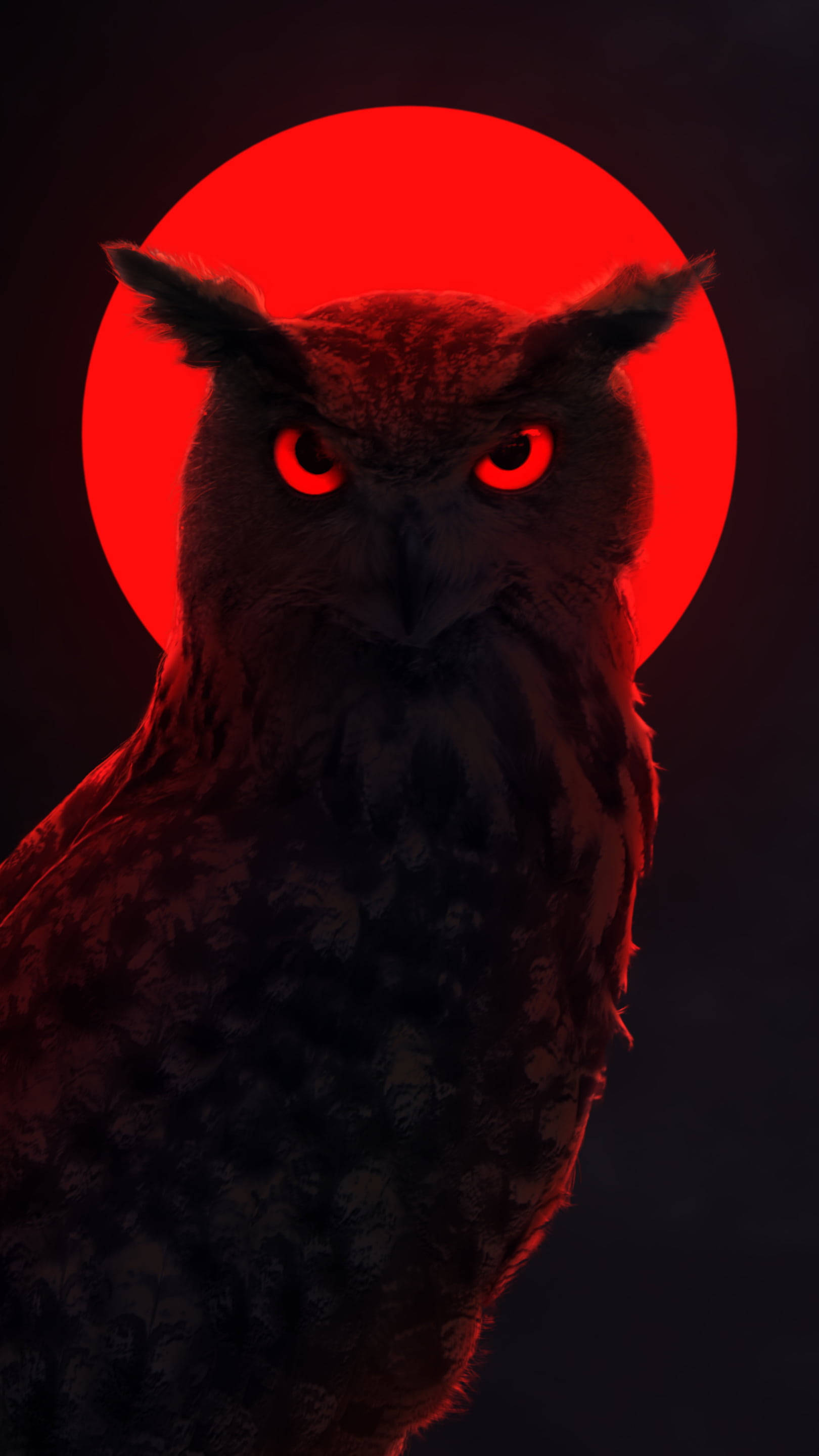 Luna de Neón Fascinante con Búho Rojo - Una Visión Nocturna Surrealista Fondos de pantalla