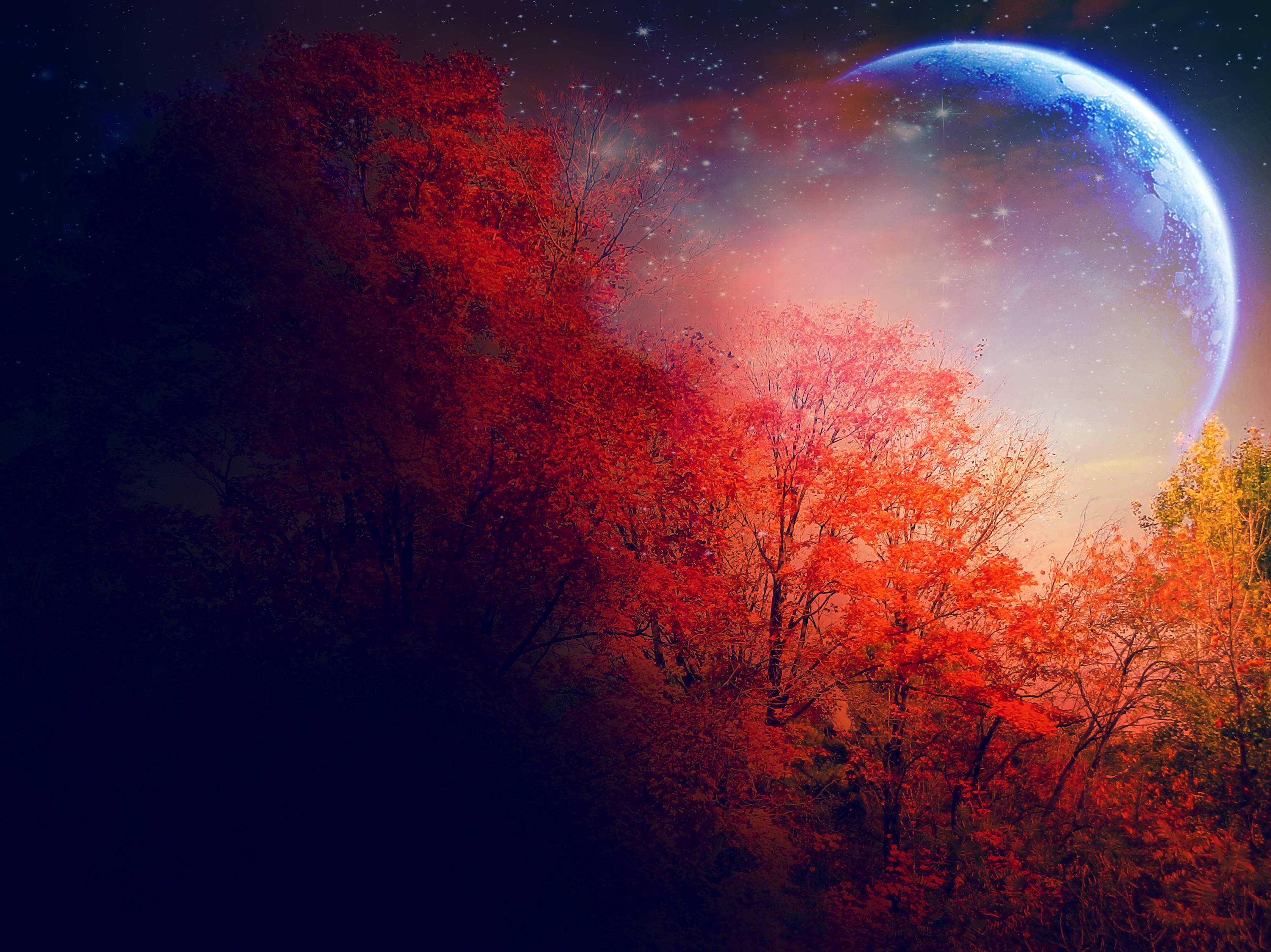 Luna de Otoño en el Cielo Nocturno Fondos de pantalla