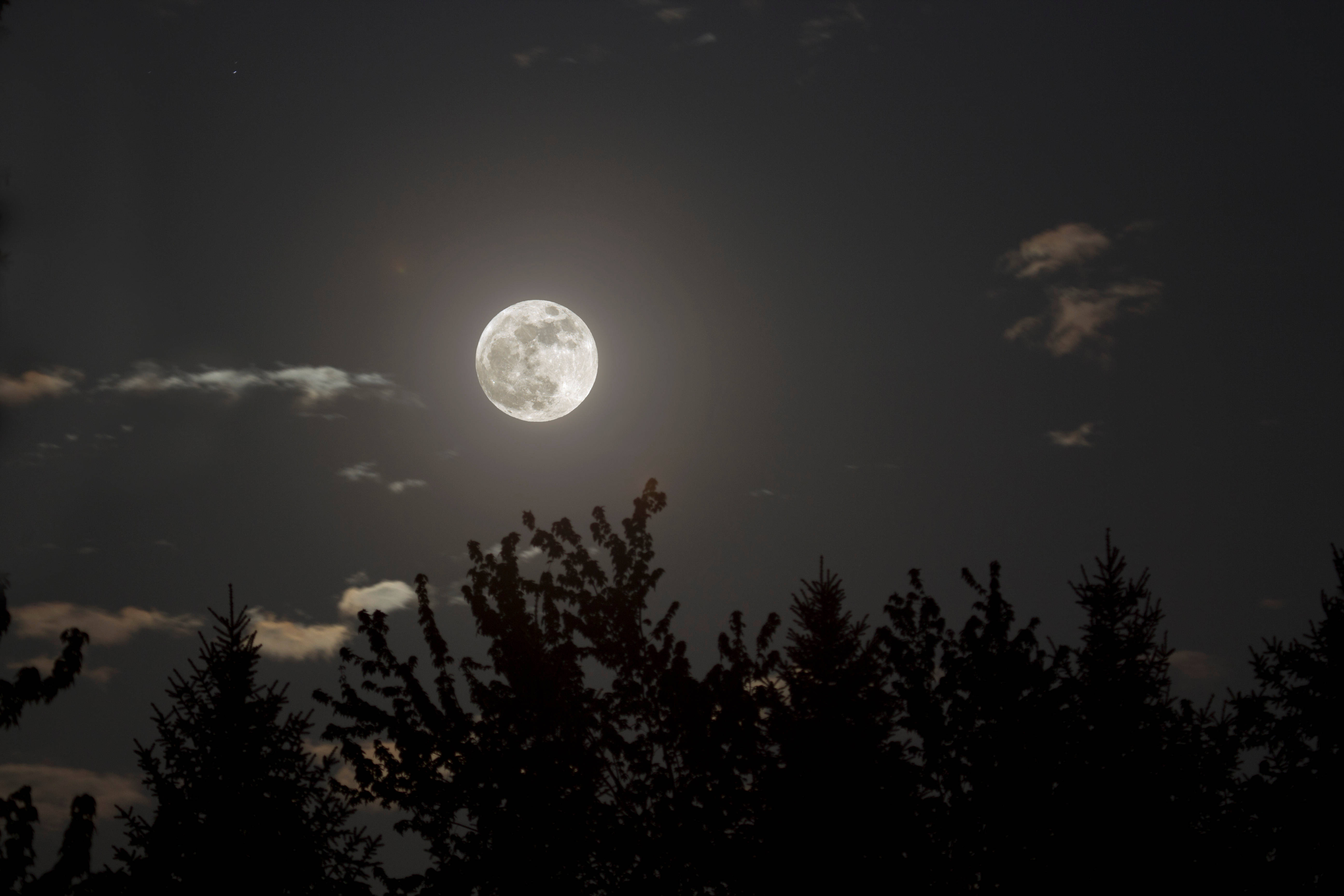 Luna Estética en Noche Silenciosa Fondos de pantalla