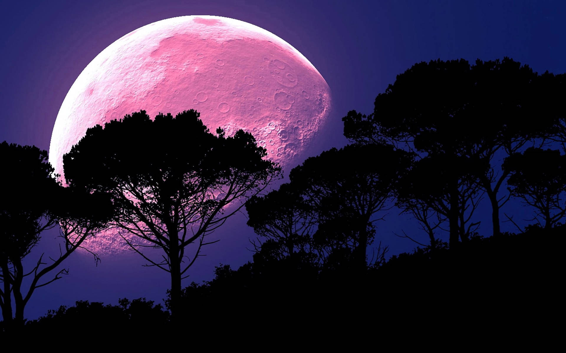Luna Galáctica y Bosque Fondos de pantalla
