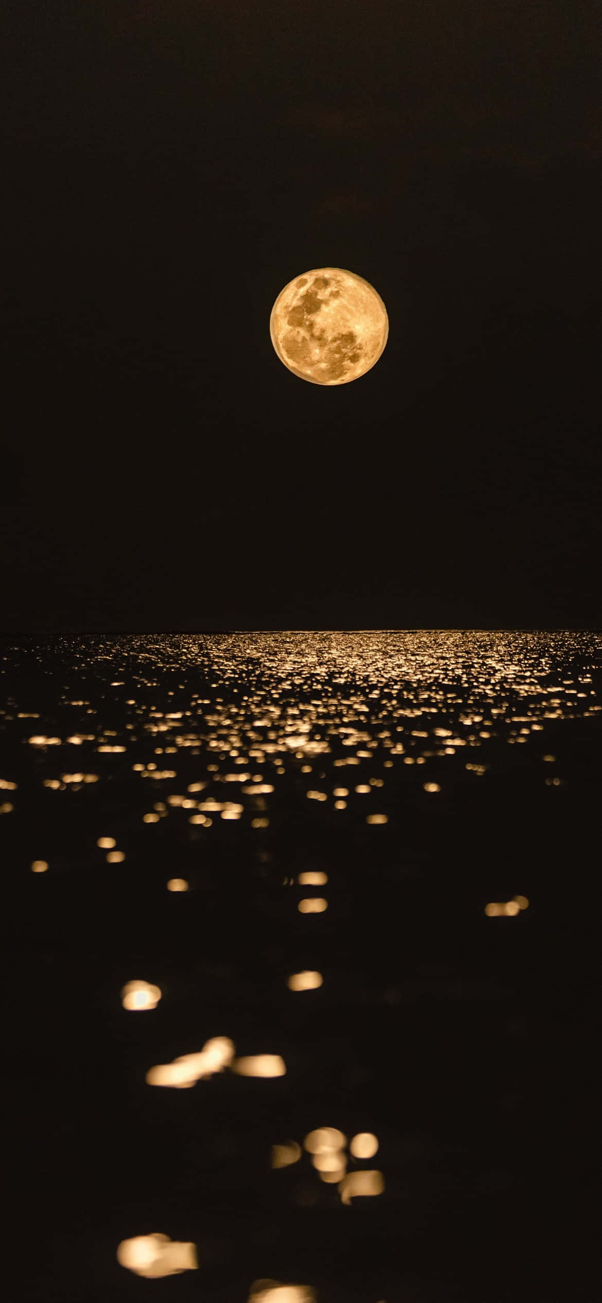 Luna Llena Majestuosa Contra el Cielo Nocturno Fondos de pantalla