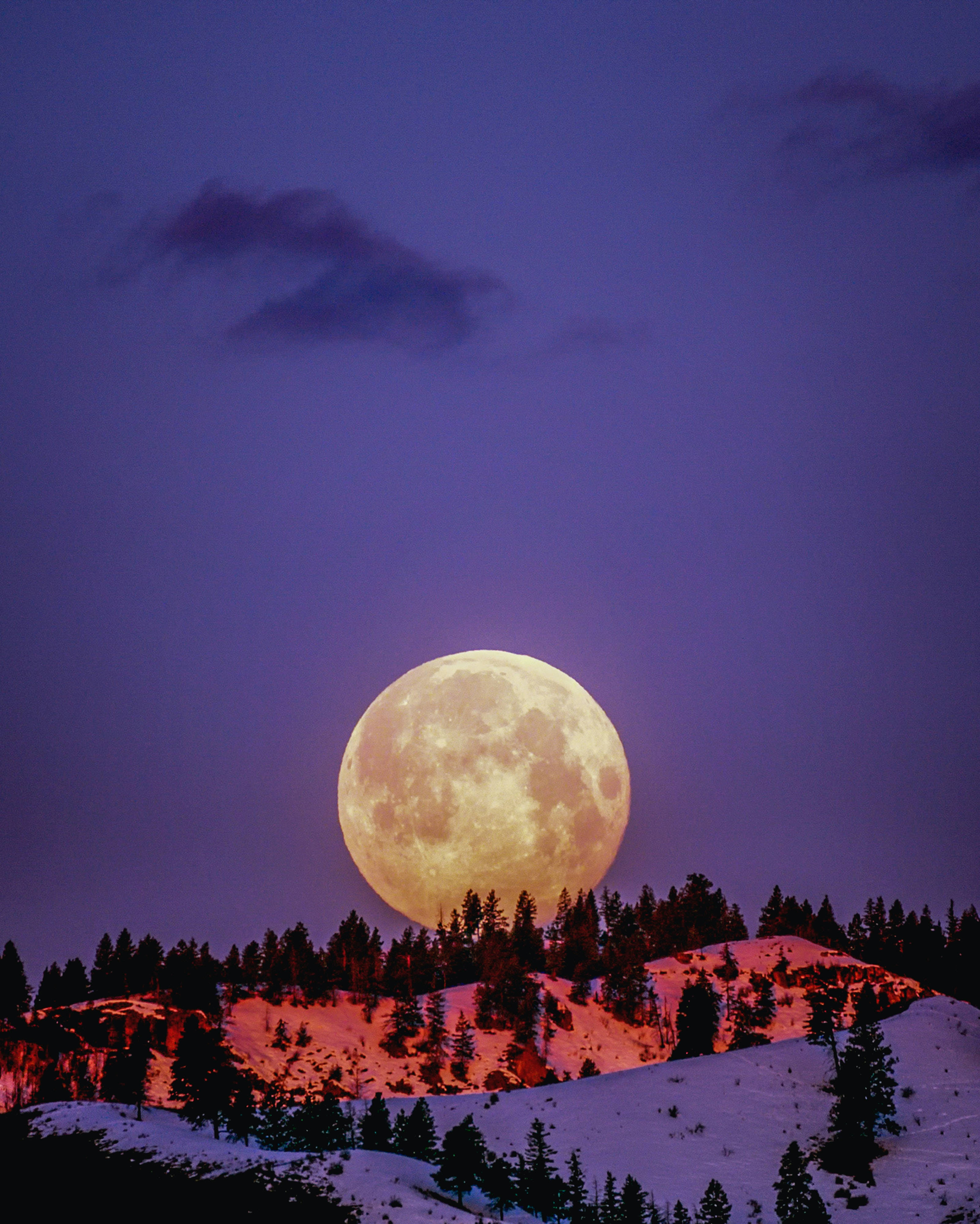 Luna llena sobre paisaje nevado Fondos de pantalla