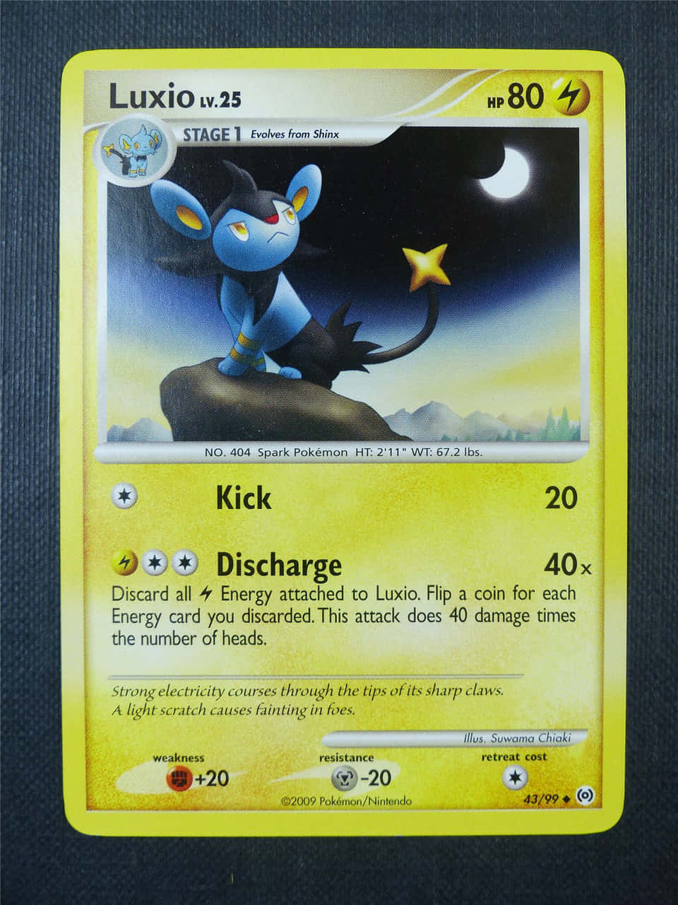 Luxio Pokémon Carta Coleccionable Fondo Azul Fondos de pantalla