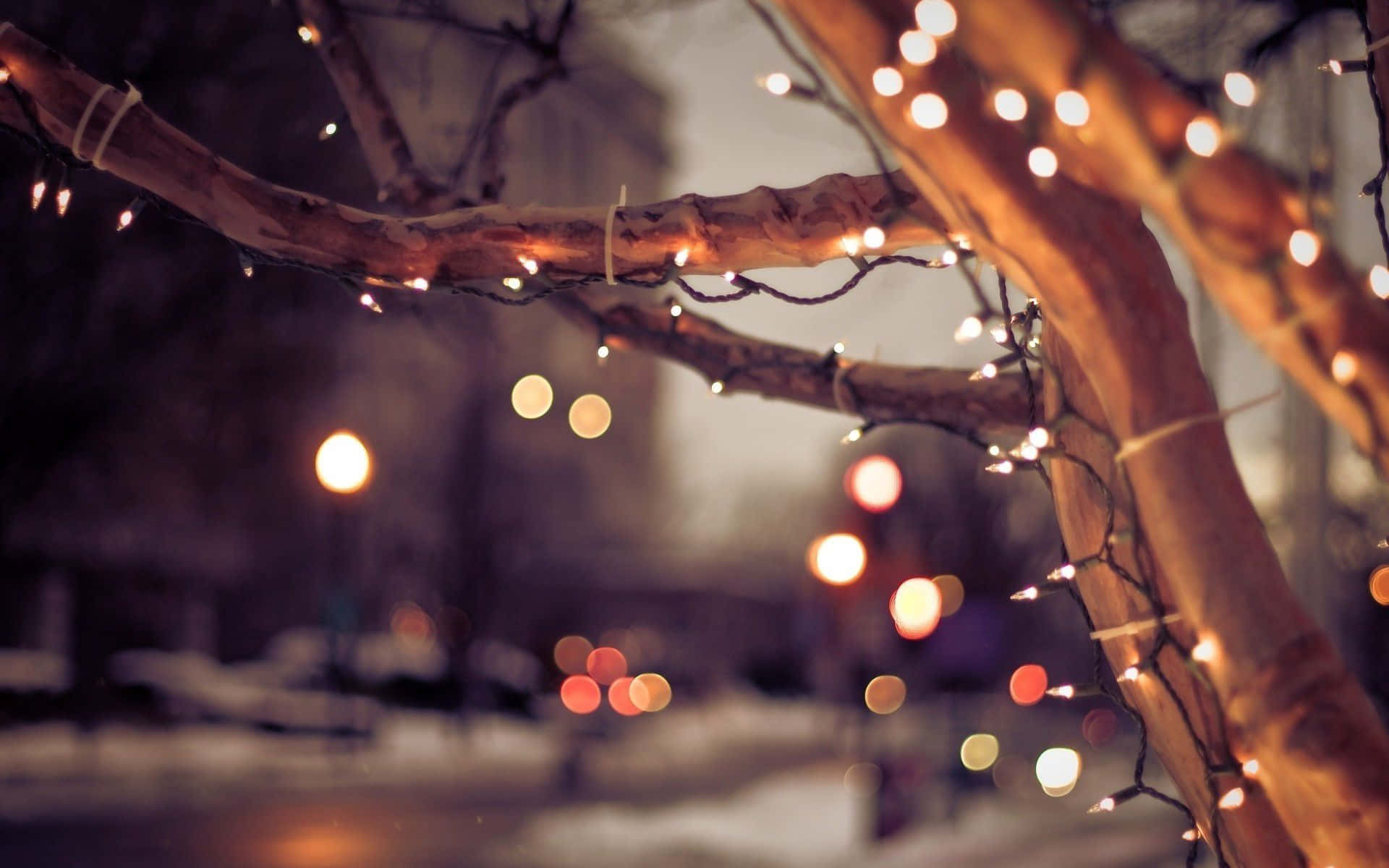 Luz navideña colgando de una rama Fondos de pantalla