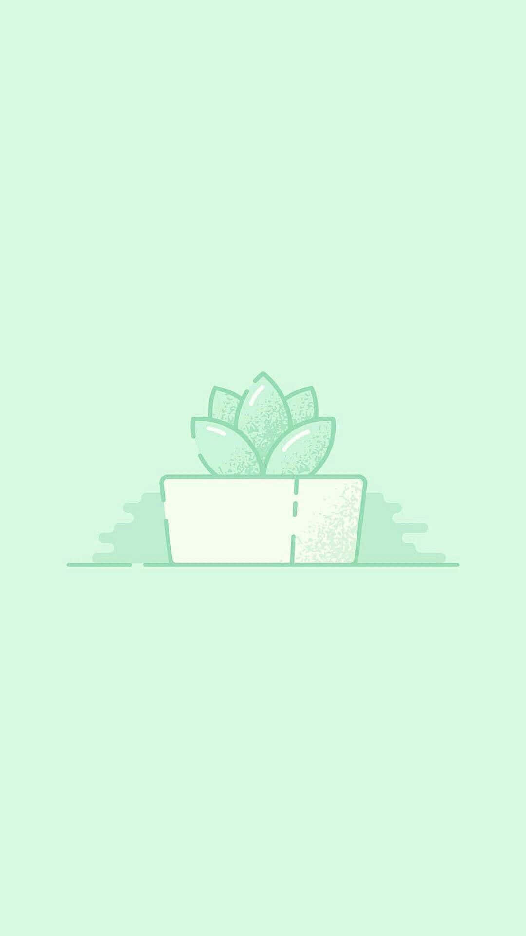 Maceta con planta en fondo verde pastel Fondos de pantalla