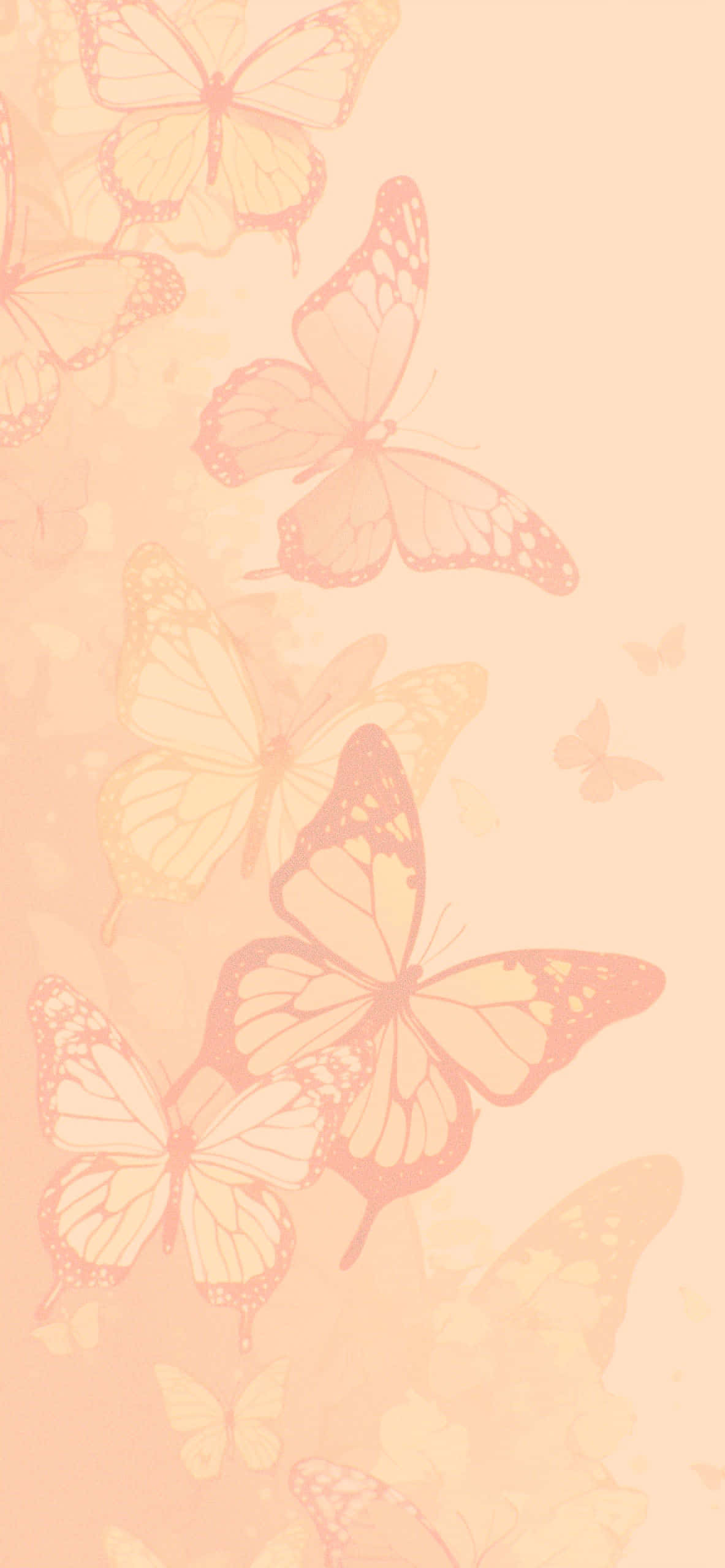 Magia Majestuosa de la Mariposa - Fondo de Pantalla Estético de Mariposa Fondos de pantalla