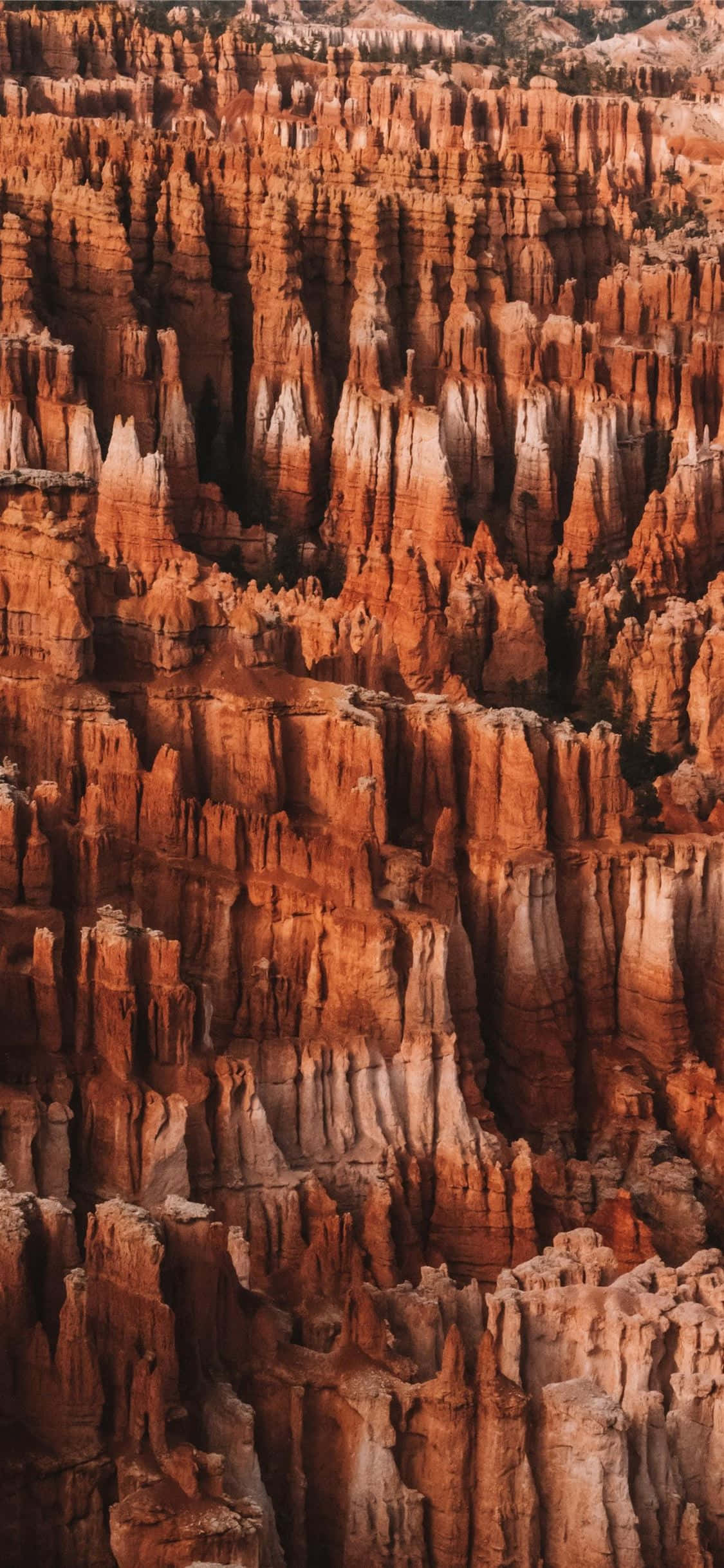 Magníficas agujas rojas en el Parque Nacional Bryce Canyon Fondos de pantalla