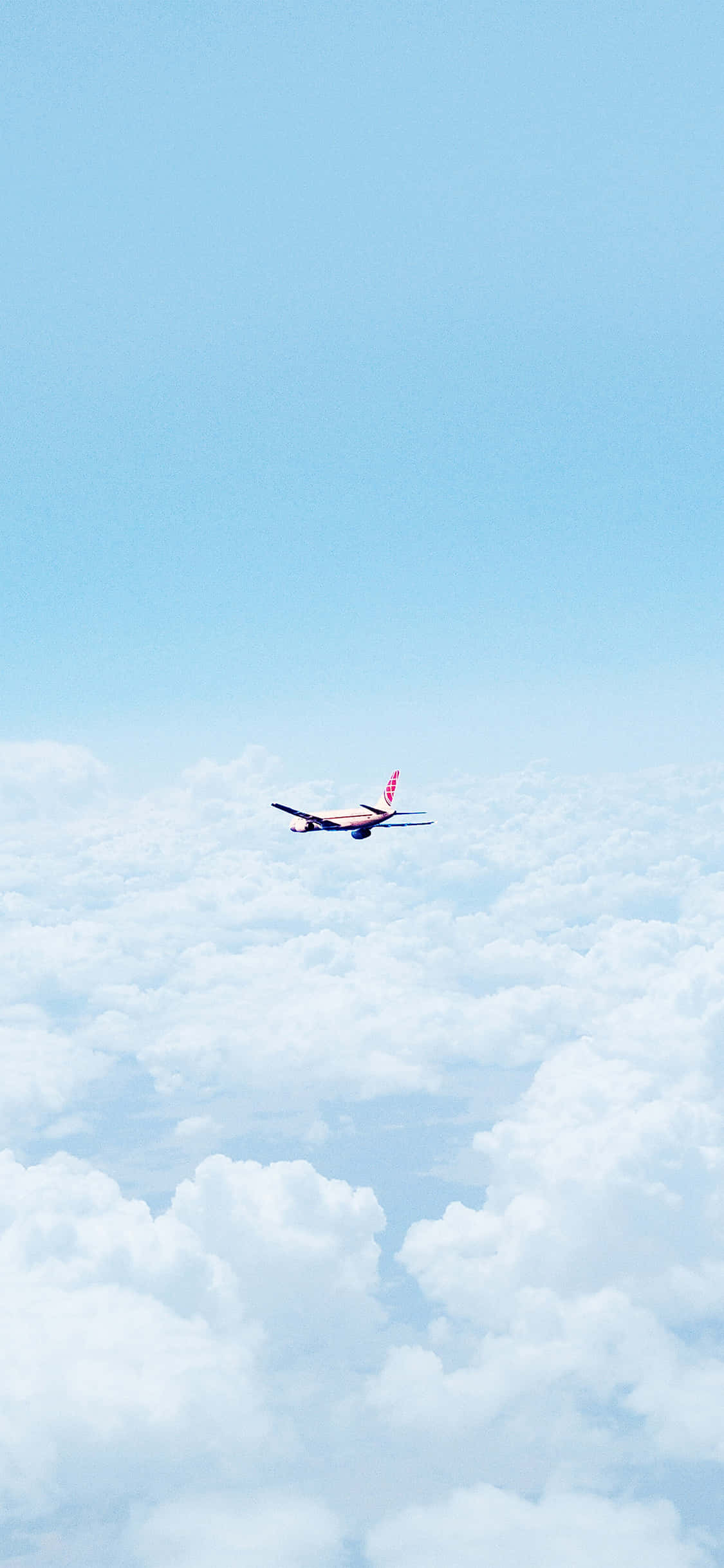 Majestad del Vuelo Fondos de pantalla