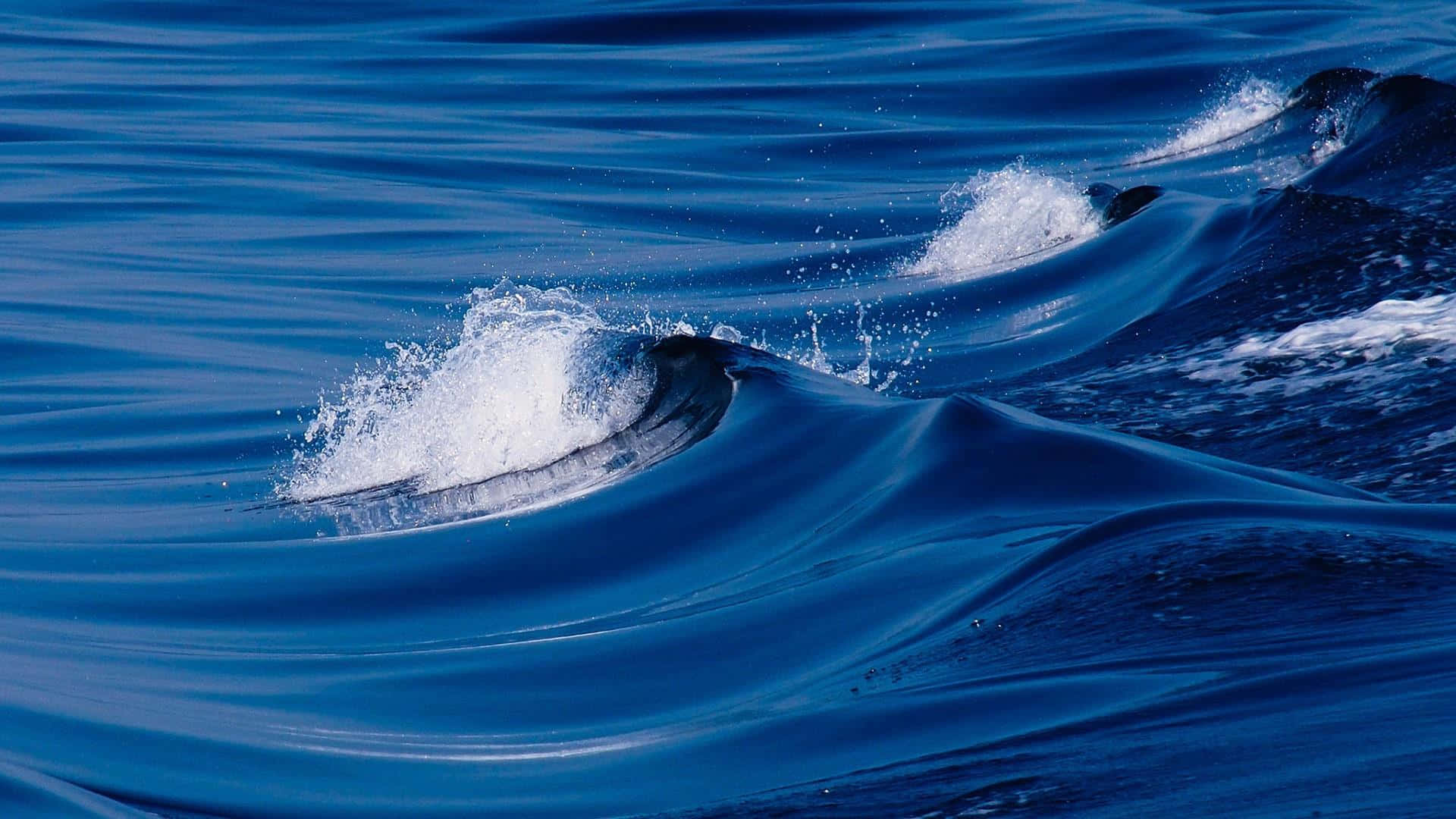 Majestuosas olas del océano bañando la orilla Fondos de pantalla