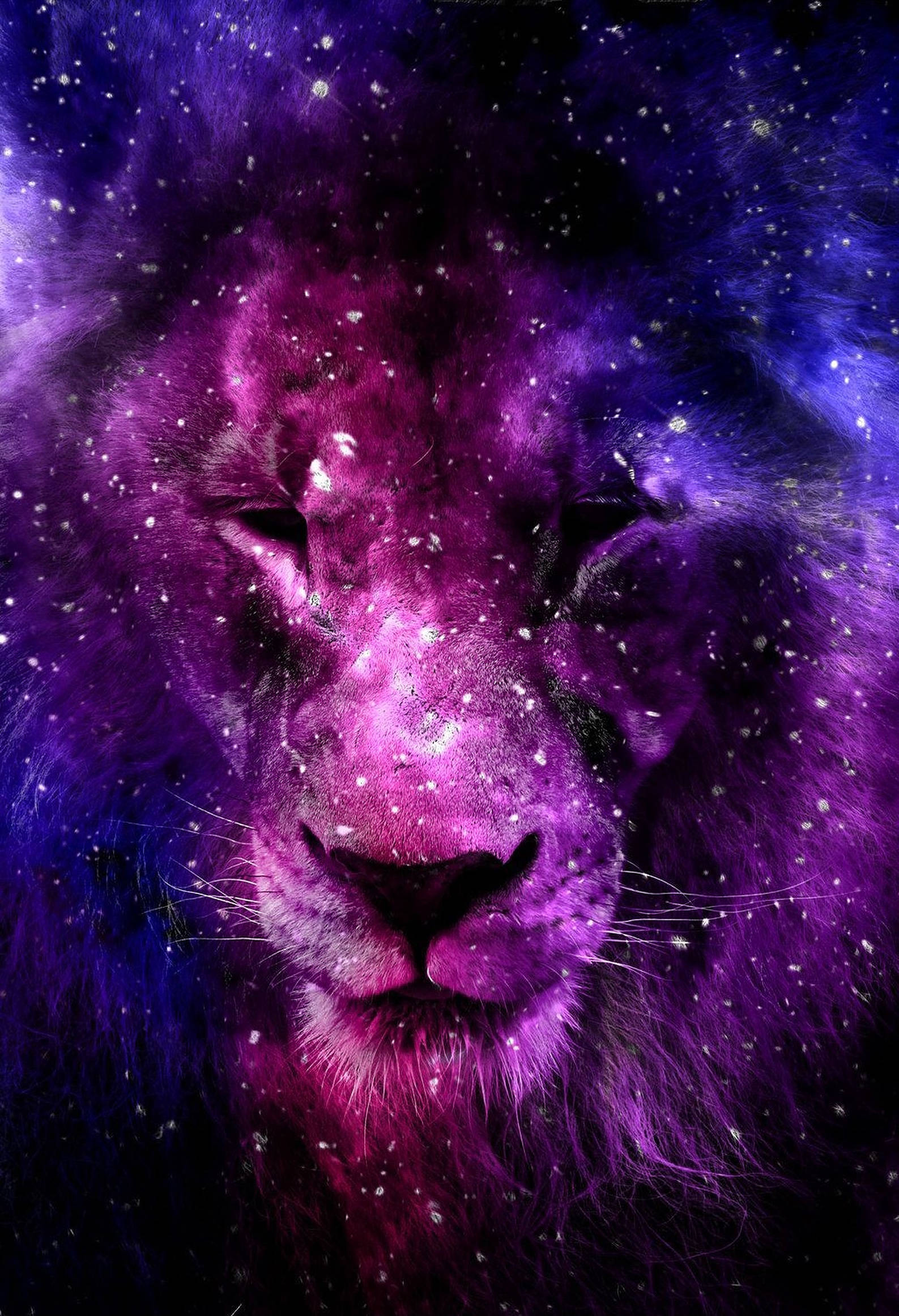 Majestuoso León Galáctico en Degradado Rosa y Púrpura Fondos de pantalla