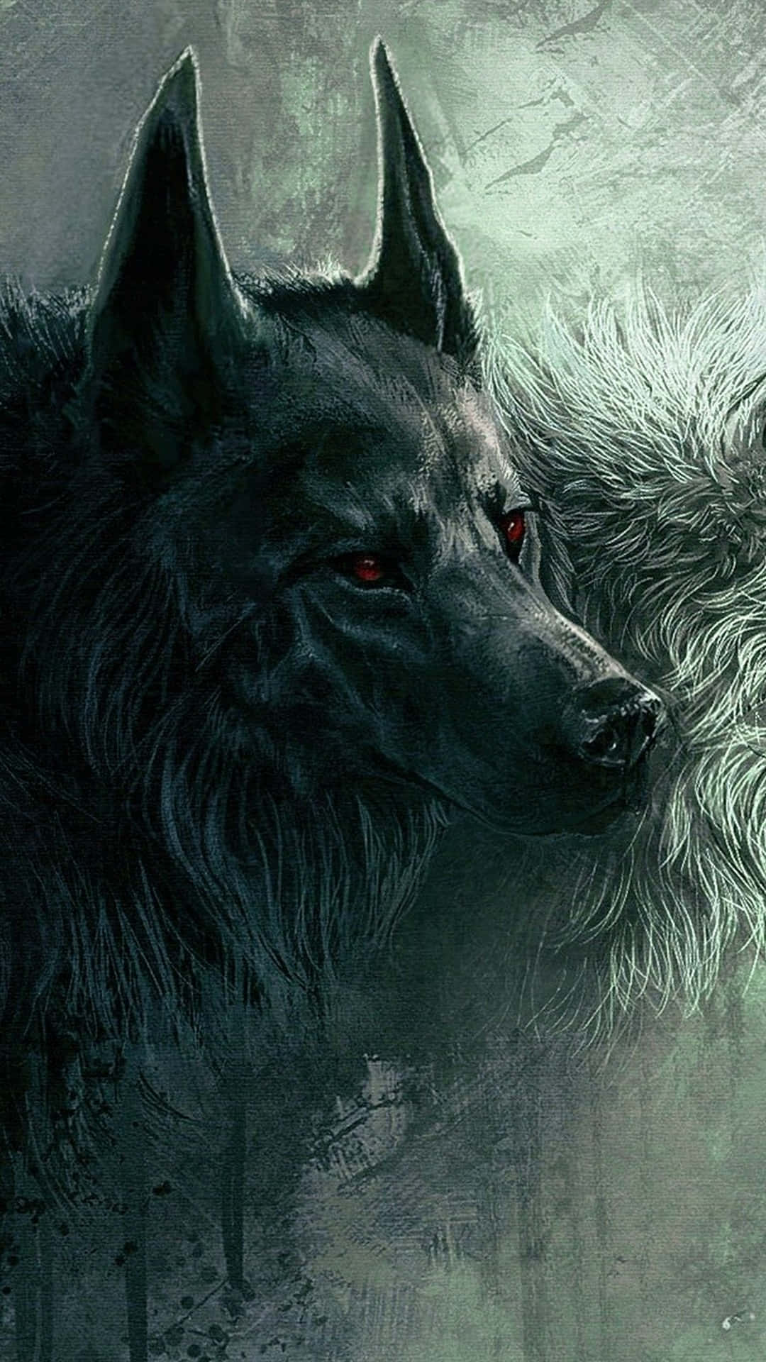 Majestuoso lobo salvaje mirando la noche Fondos de pantalla
