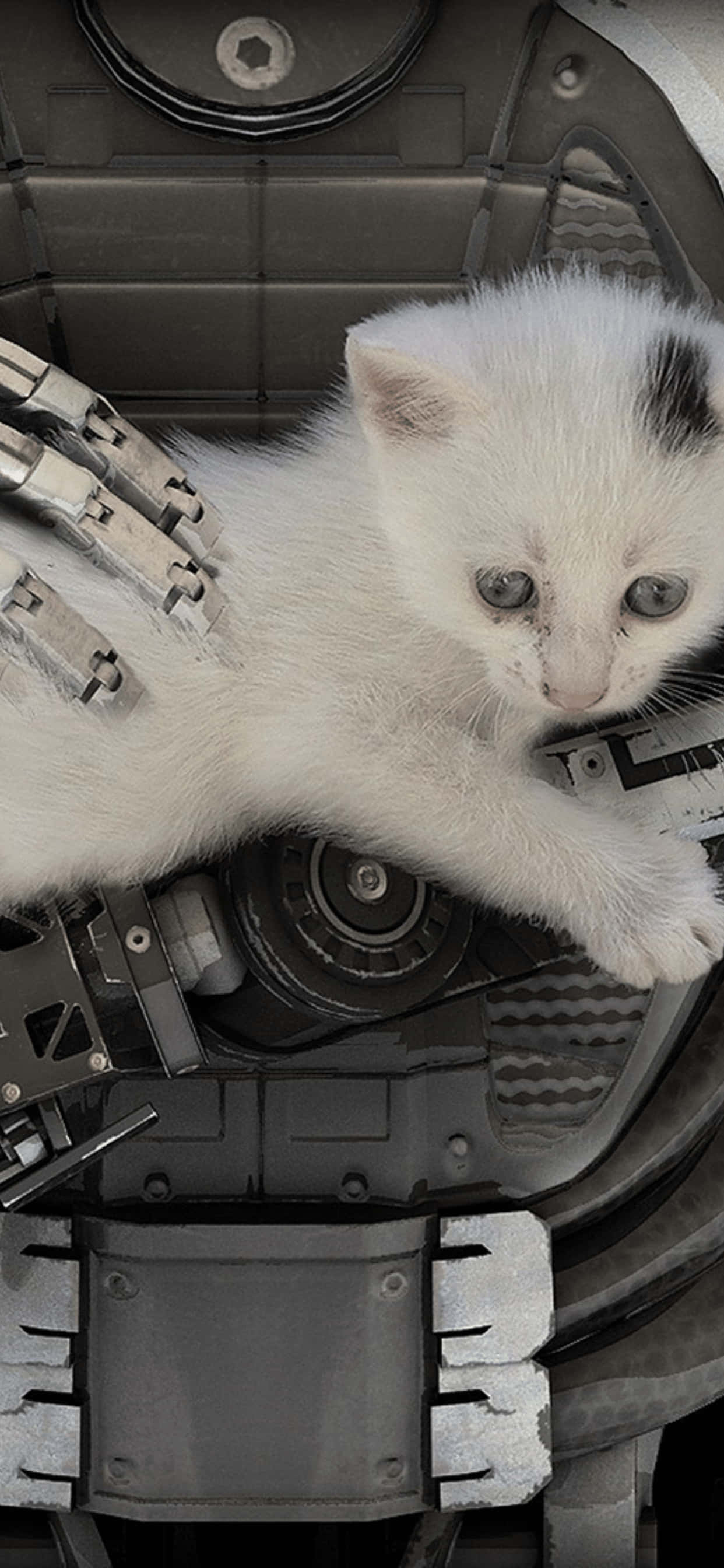 Majestuoso Mundo de The Talos Principle en iPhone XS Max Fondos de pantalla