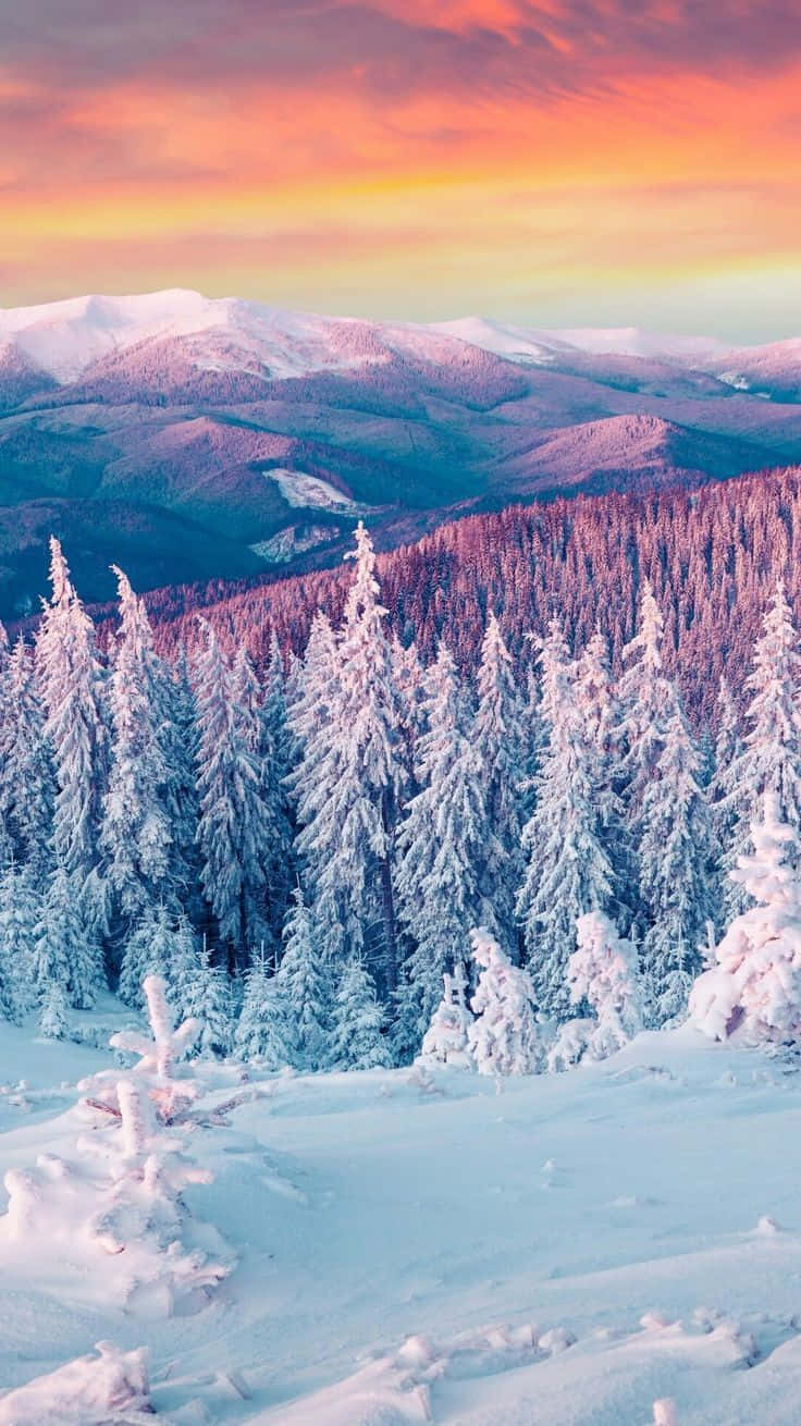 Majestuoso paisaje invernal Fondos de pantalla